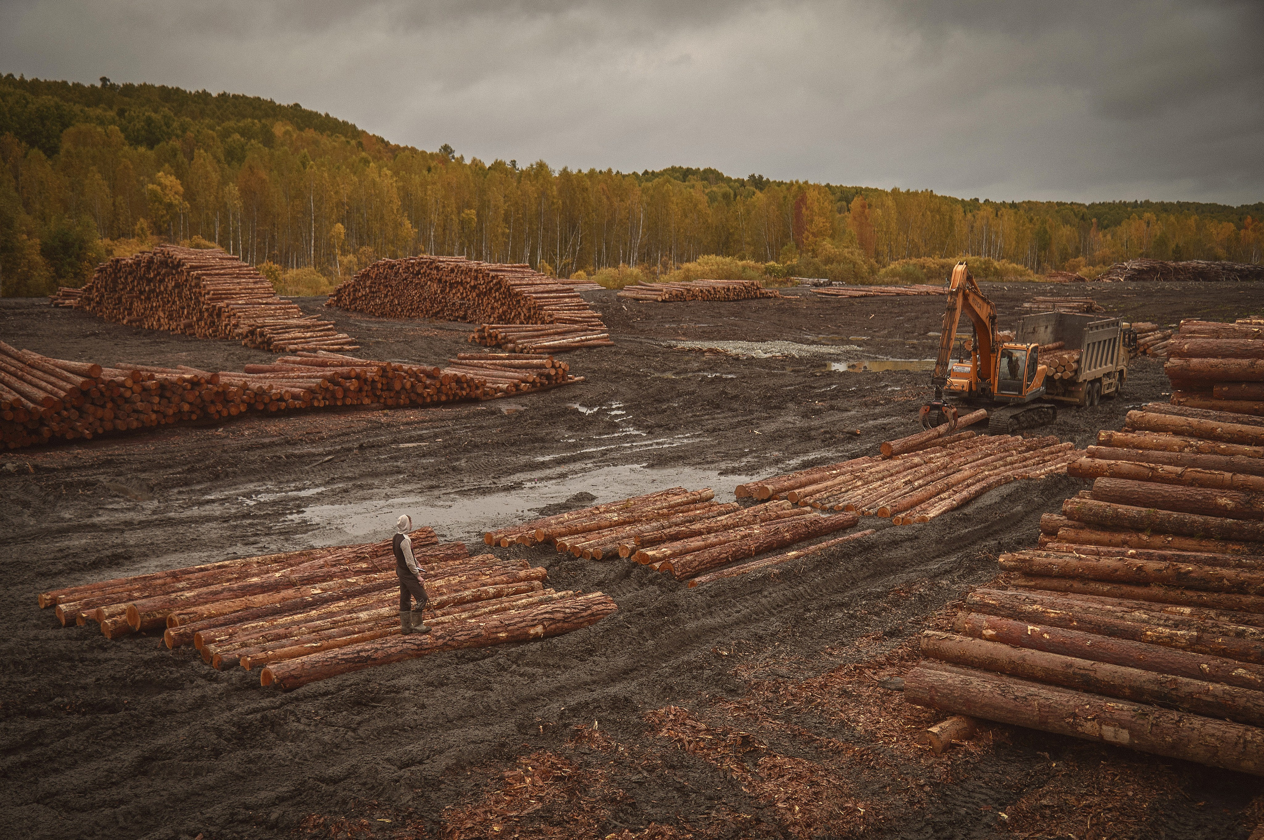 Лесозаготовка г. Мотыгино. Фотограф Яковлев Роман — Красноярск