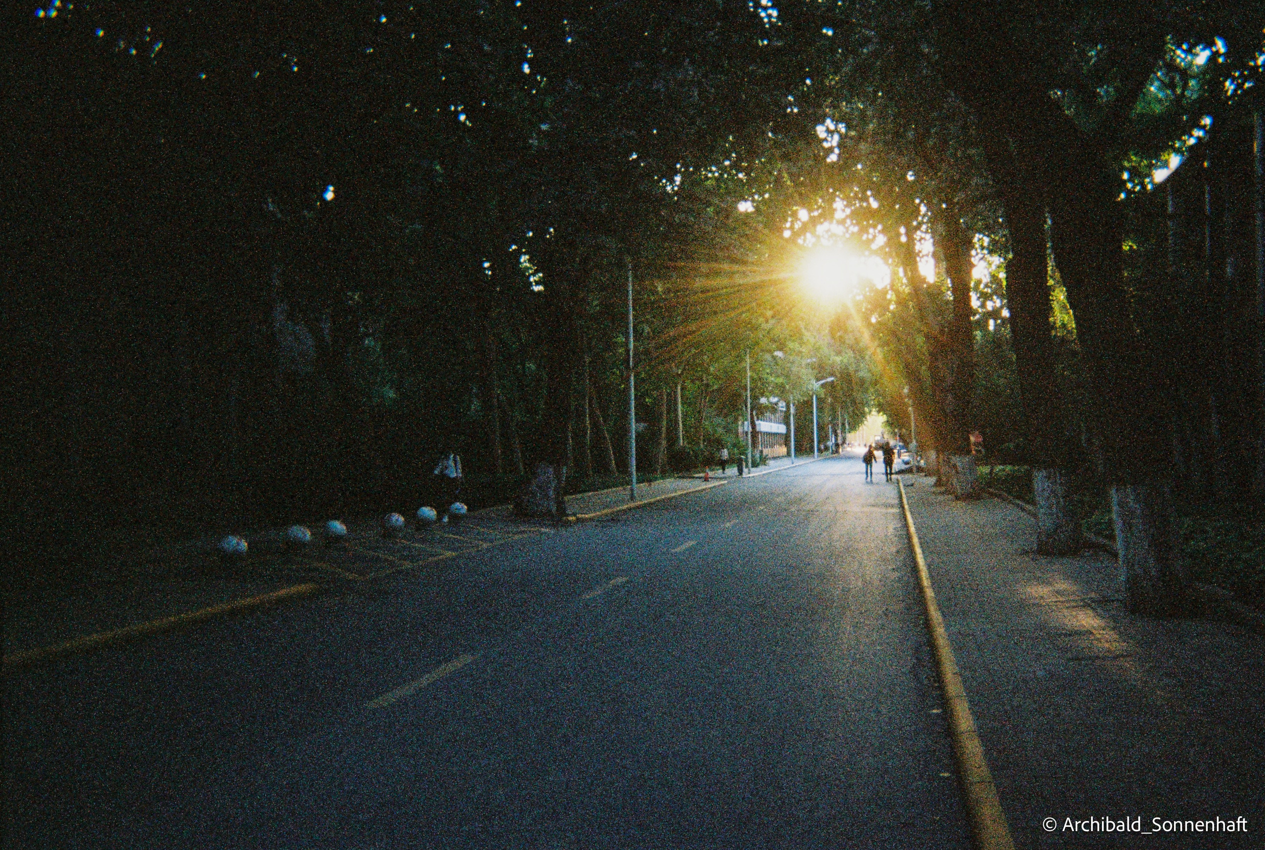One film reel. Photographer in Guangzhou, China. Archibald Sonnenhaft