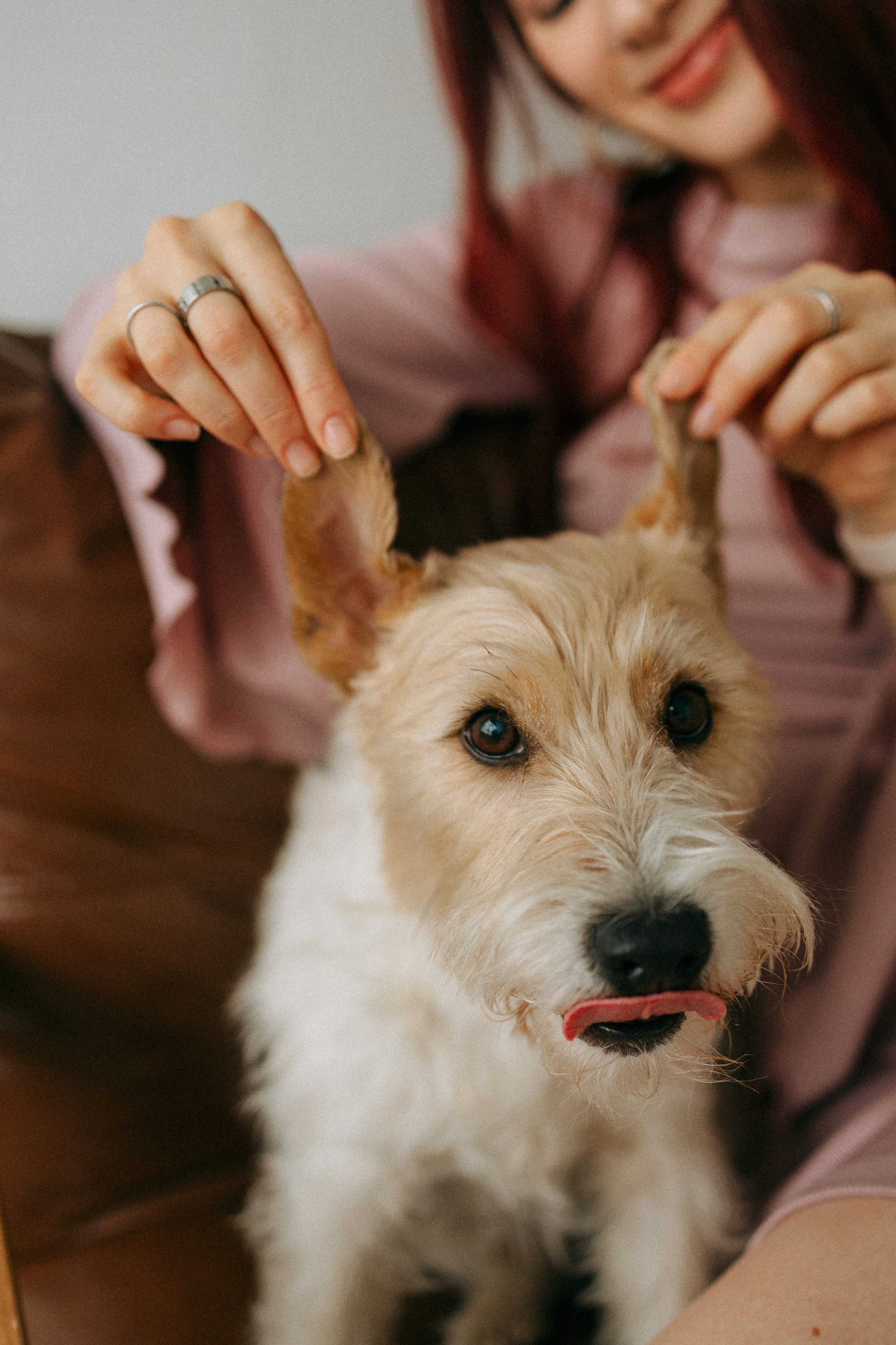 Цунами, Теон и Женя. Фотограф анималист Анастасия Пикей
