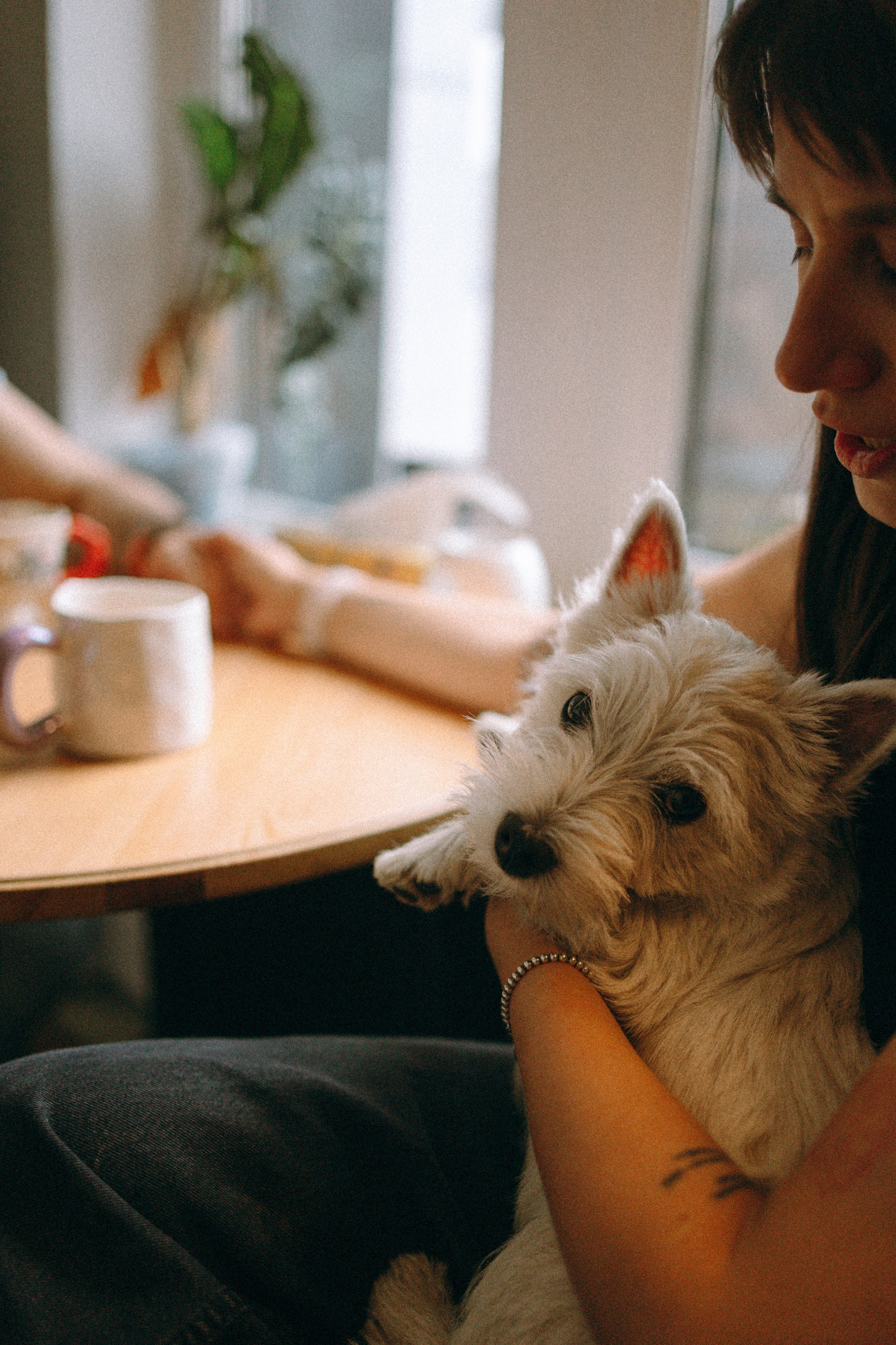 Снежуля, Мари и Саша. Фотограф анималист Анастасия Пикей