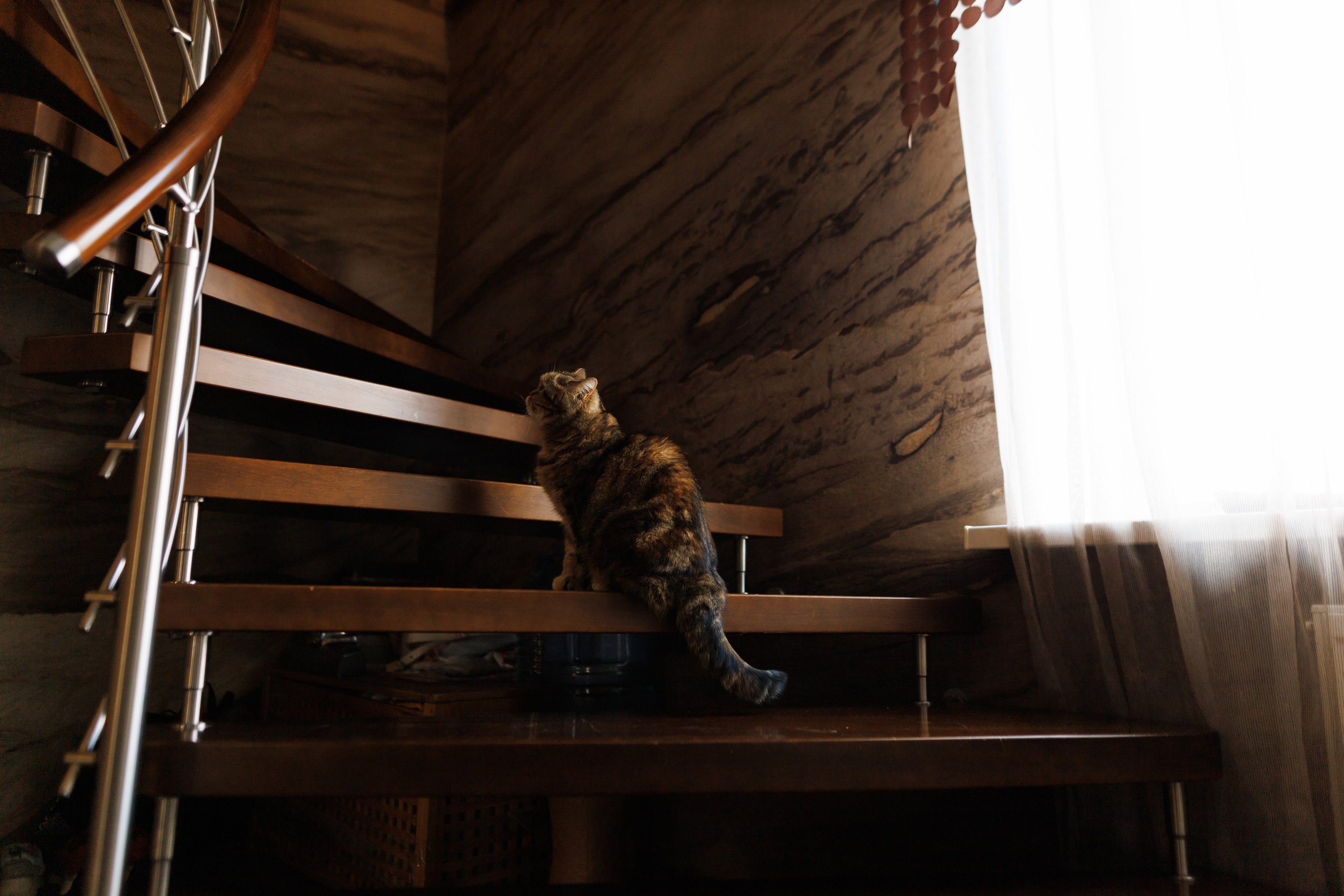 Глеб & Мария. Свадебный фотограф Михаил Александров