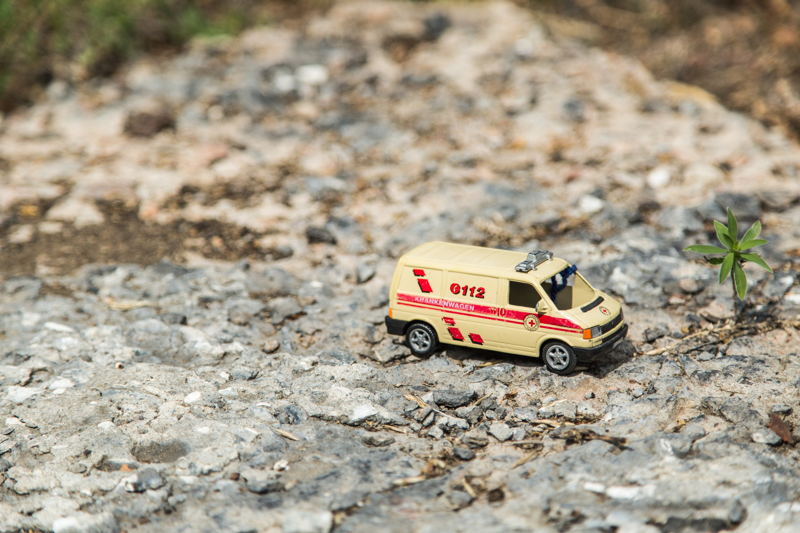 Машины. Фотограф Олеся Кавлакан