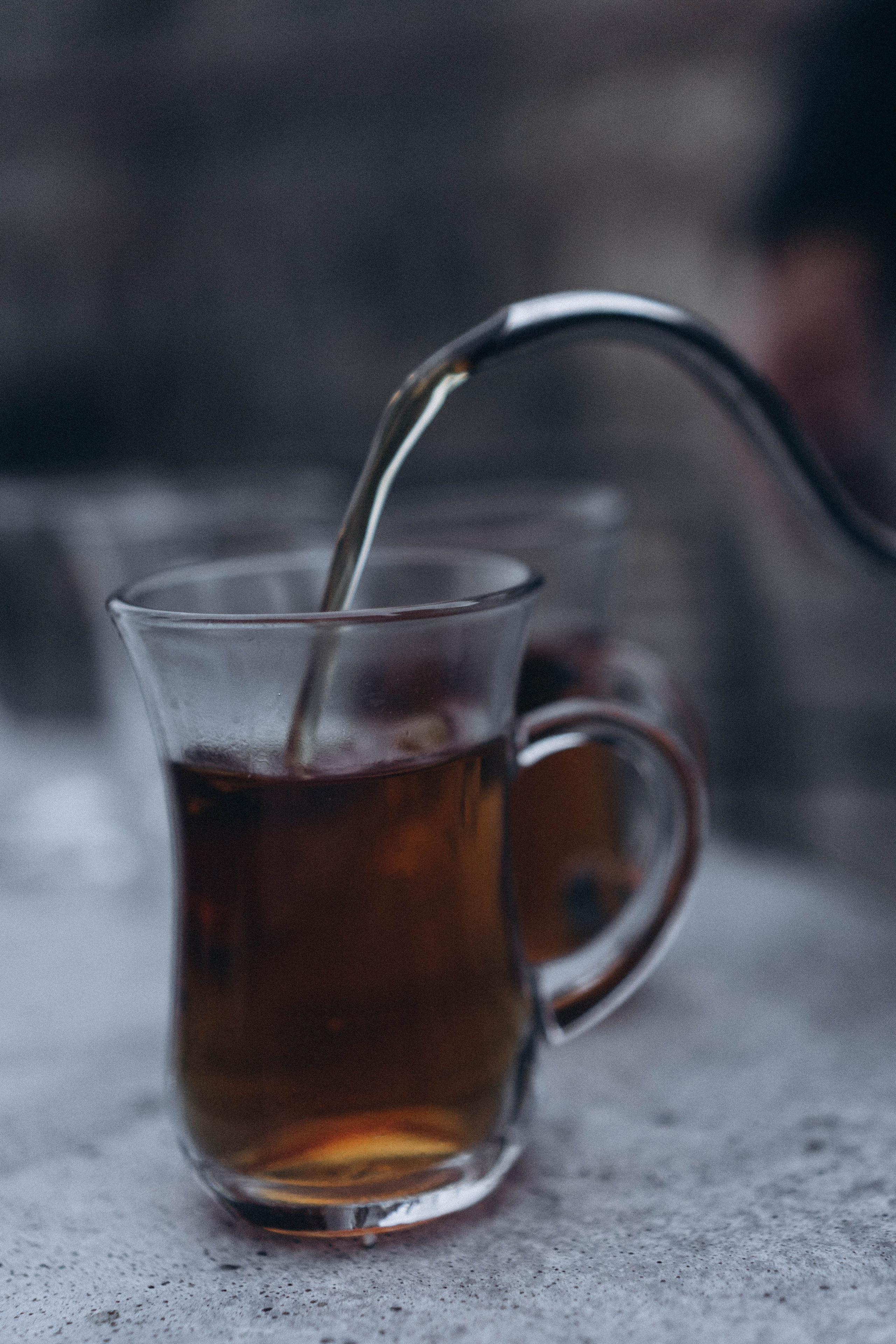 Кавказ. Профессиональный фотограф, Санкт-Петербург — Виктория Богомолова