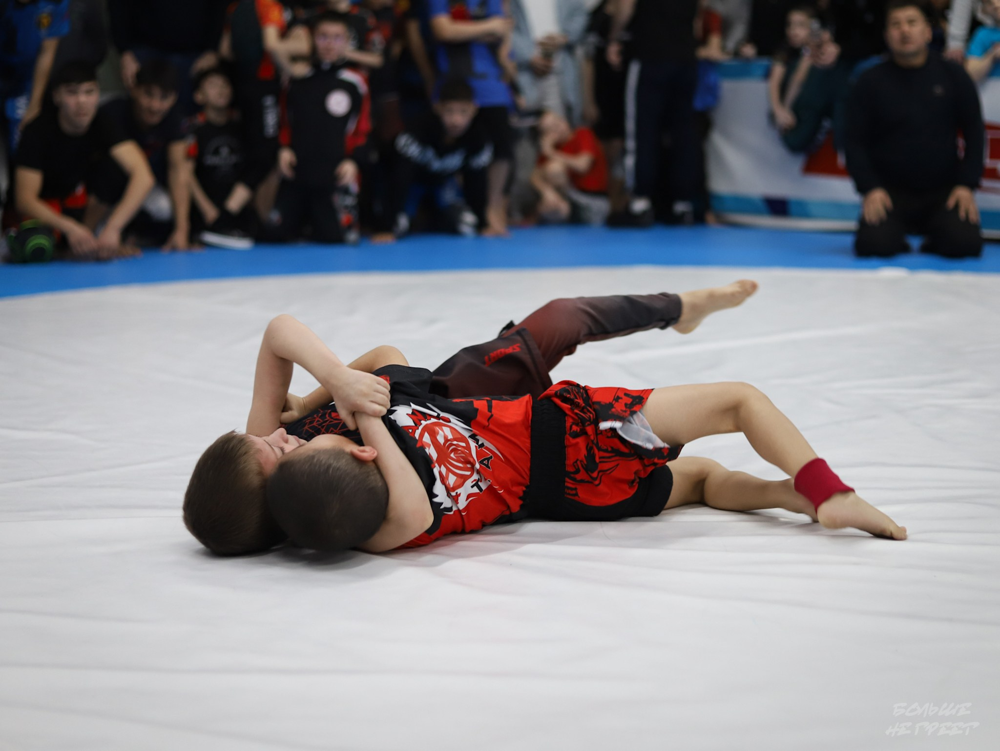 GORILLA PRIDE CUP. Больше не греет