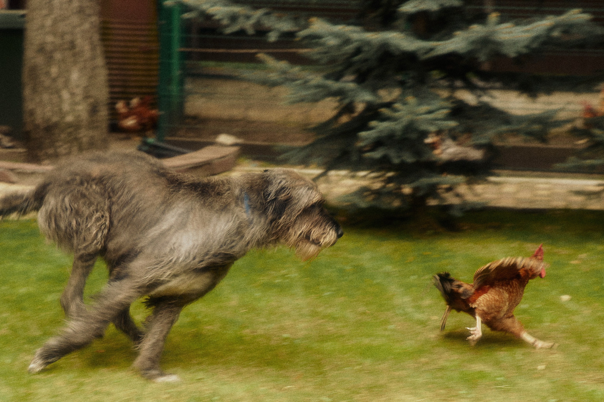 ITALIAN FAMILY. Дмитрий Мазуркевич: Профессиональный Репортажный Фотограф