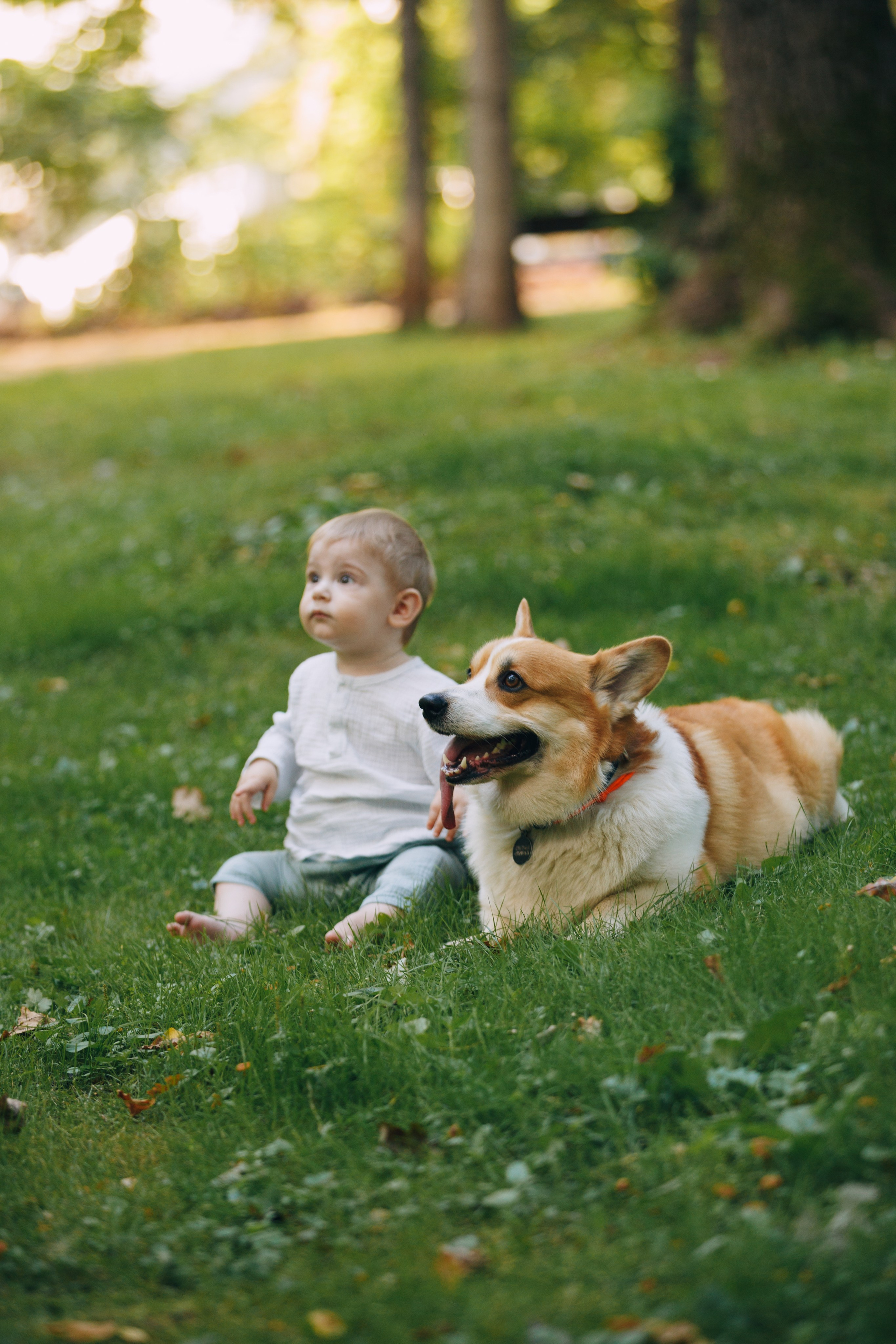 Мерф, Саша, Арсений и Андрей. Фотограф анималист Кристина Карпова, Москва