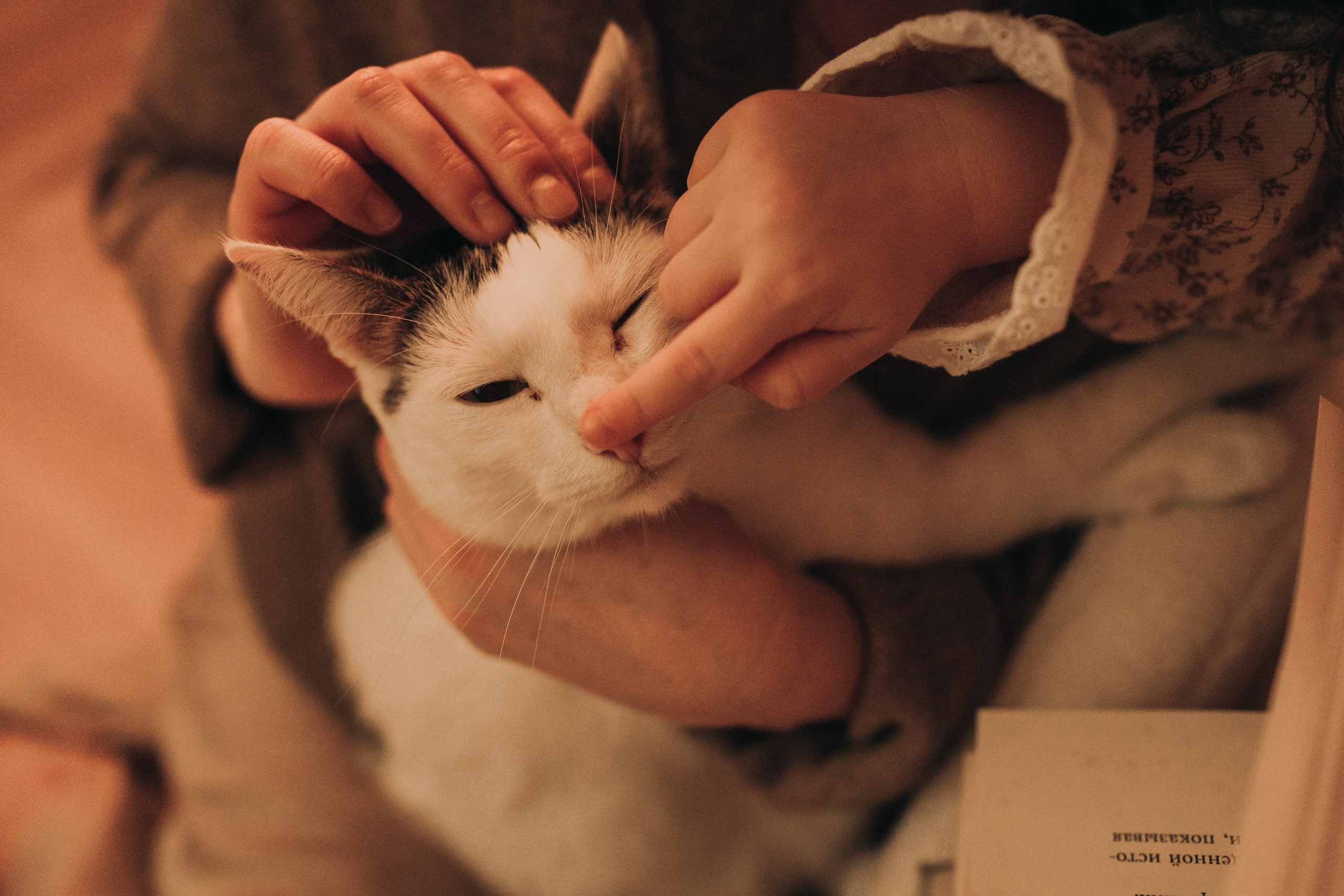 Семейные фотосессии (в студии, на улице или у вас дома). Фотограф Антонина Знак. Семейные фотосессии. Москва и МО