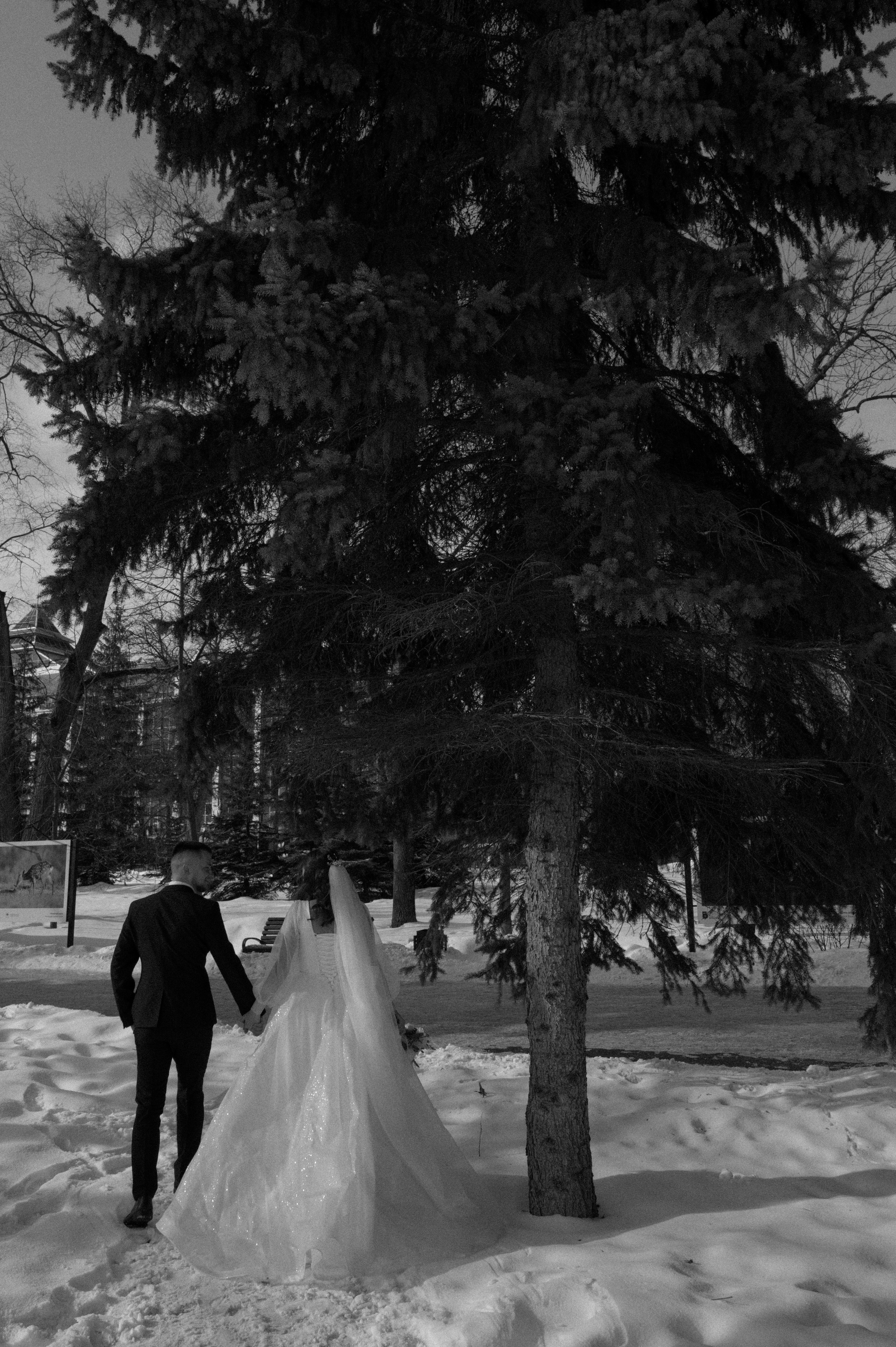 Растопим сердца. Свадебный фотограф Липецк, Елец