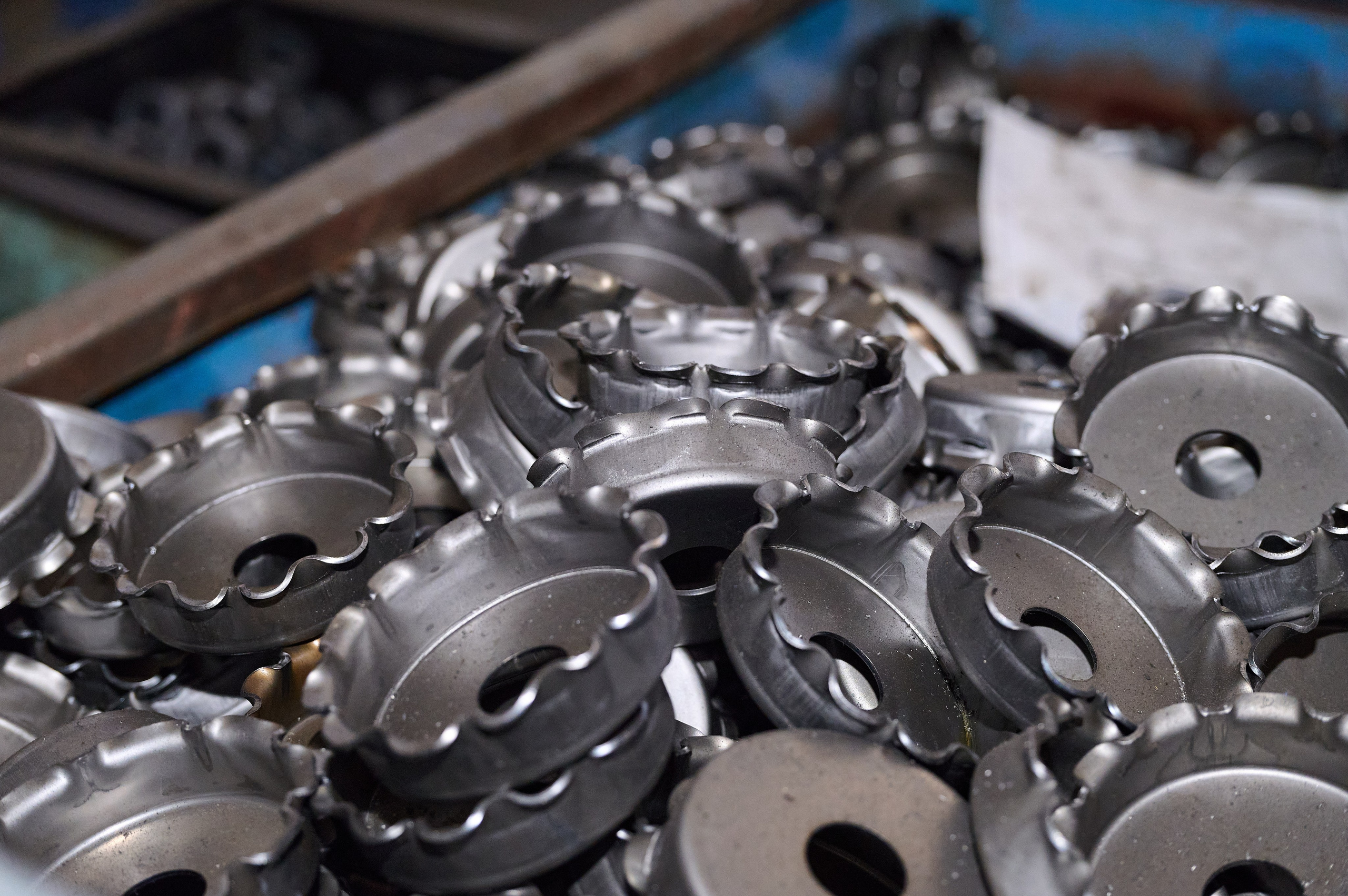 Росмолодежь. Фотограф Опыт Качество Скорость Горный Алтай Барнаул