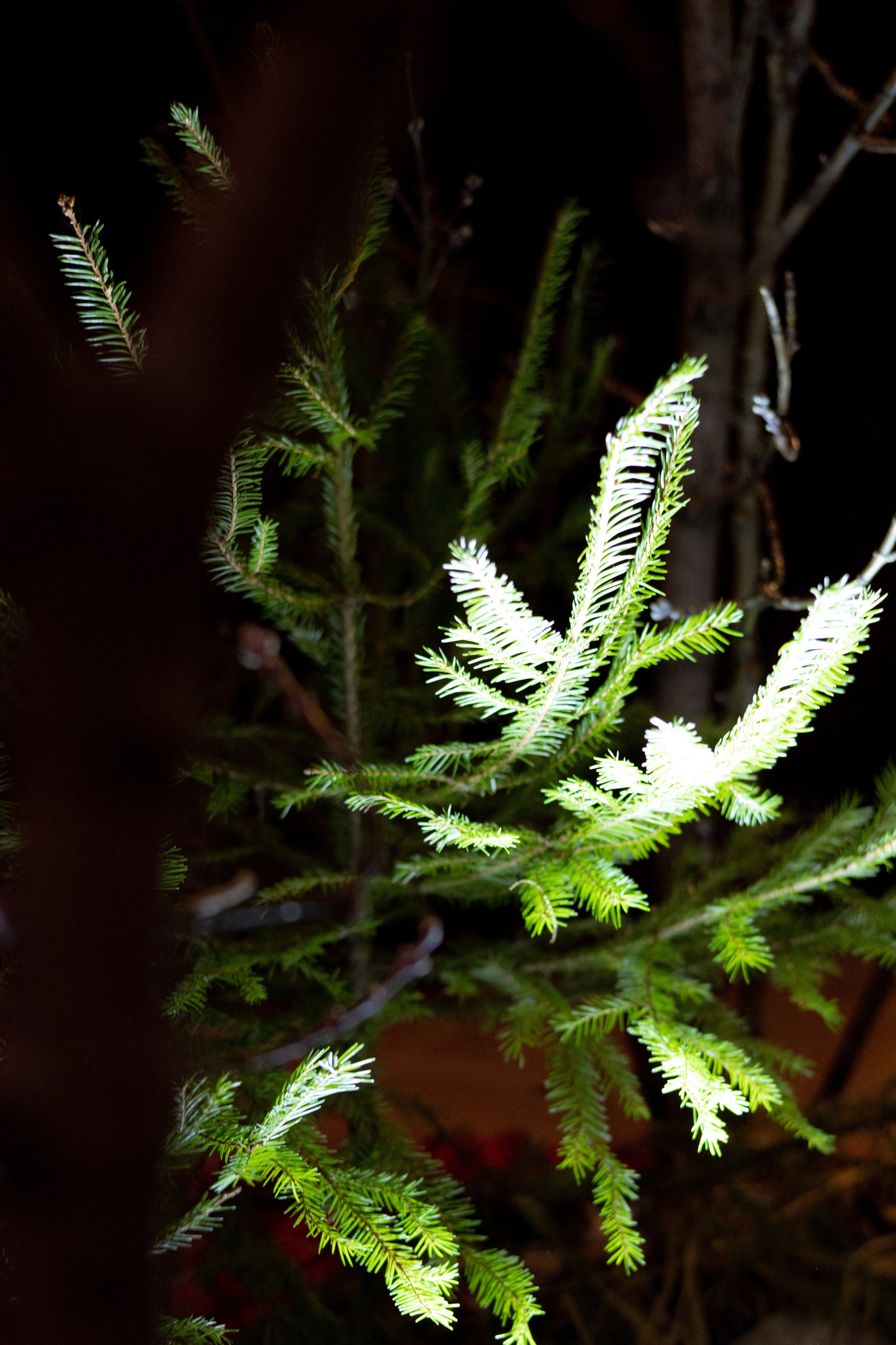 Новогодний корпоратив в фольклорном стиле. Особняк Лемана. Оформление свадеб, декор свадеб Вера Маркова, Москва