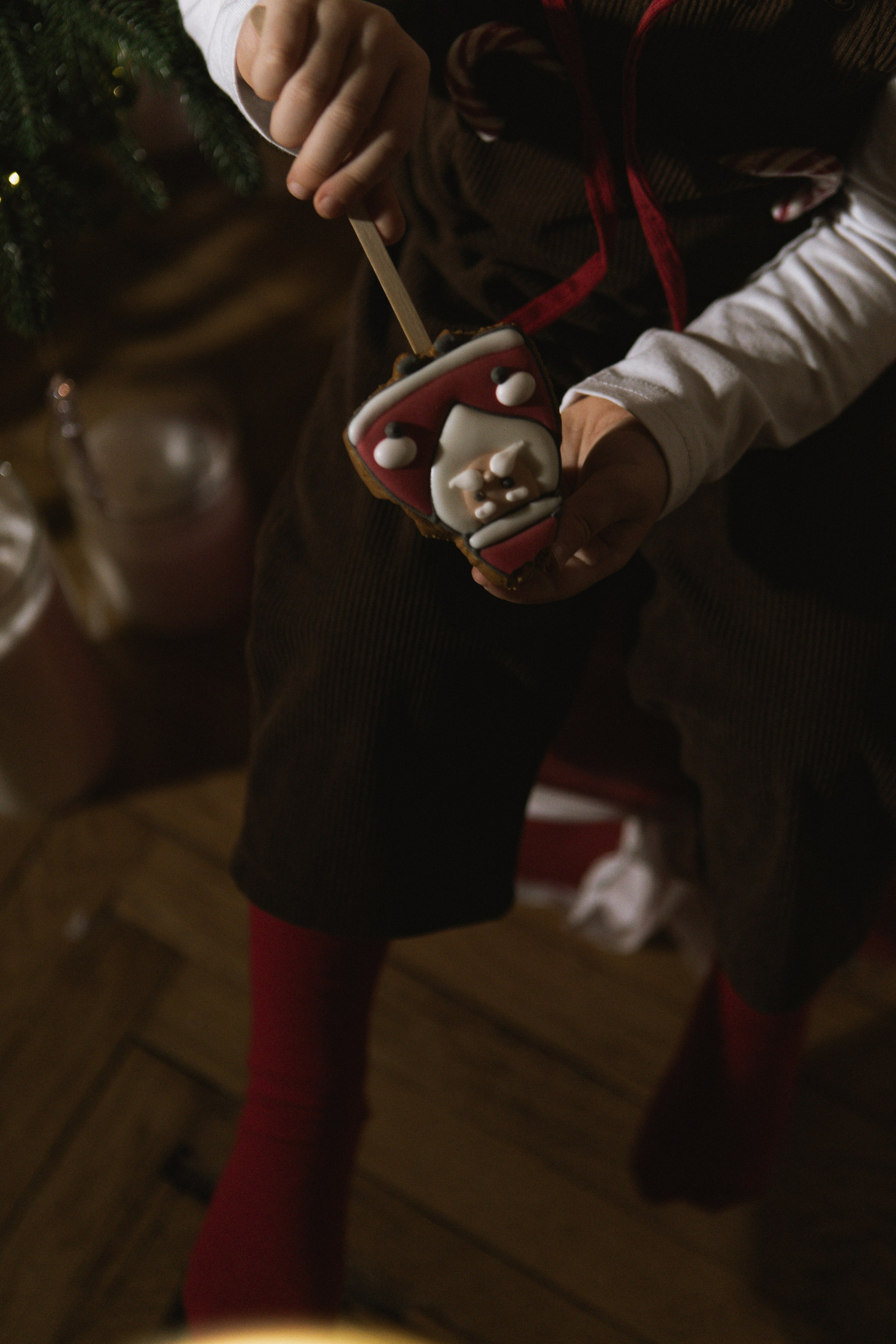 Рождественский гном. Фотограф в Москве Таша Логинова