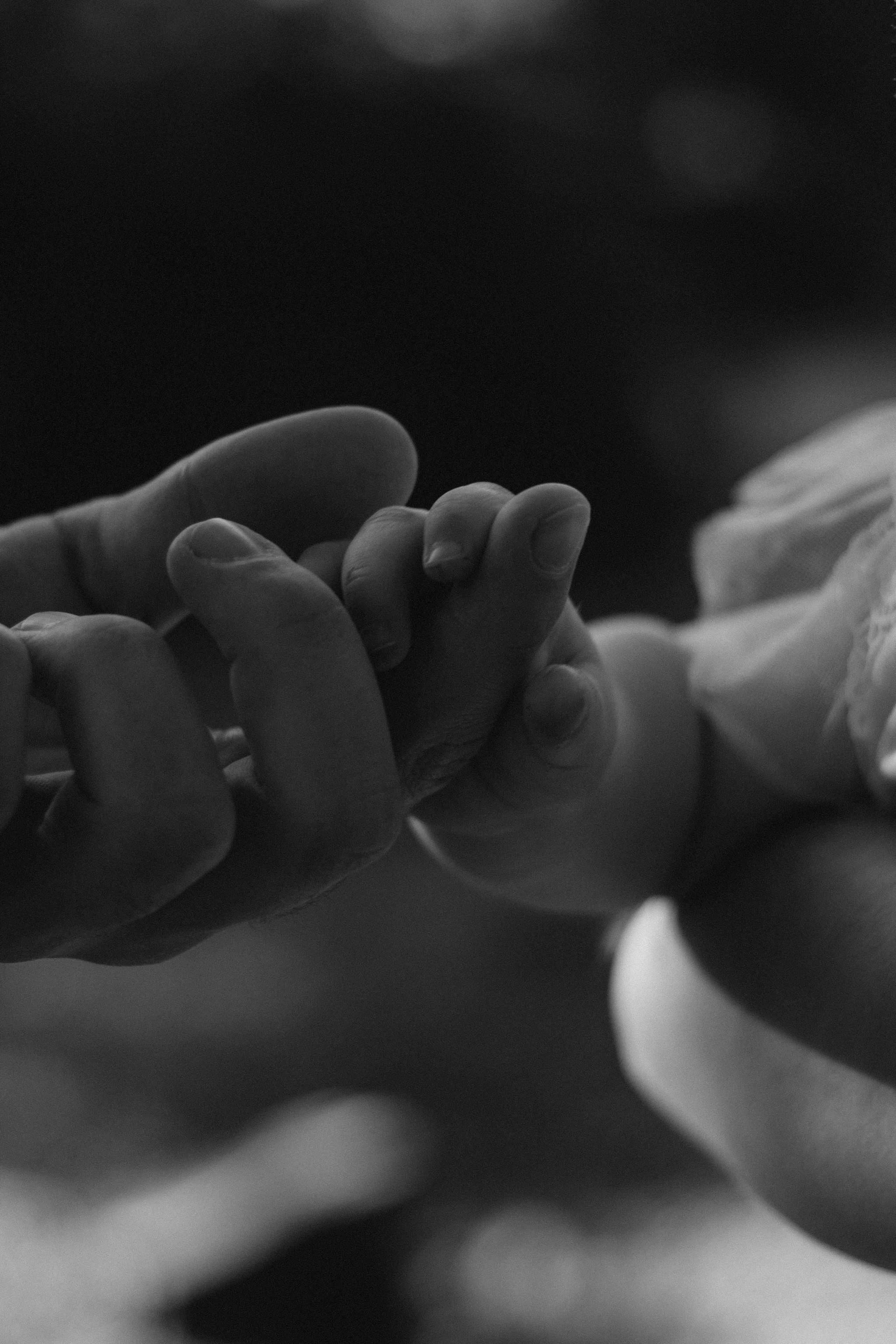 Ella+Aleksey+Mira. Lusy Redina | Семейный Фотограф | Волгоград