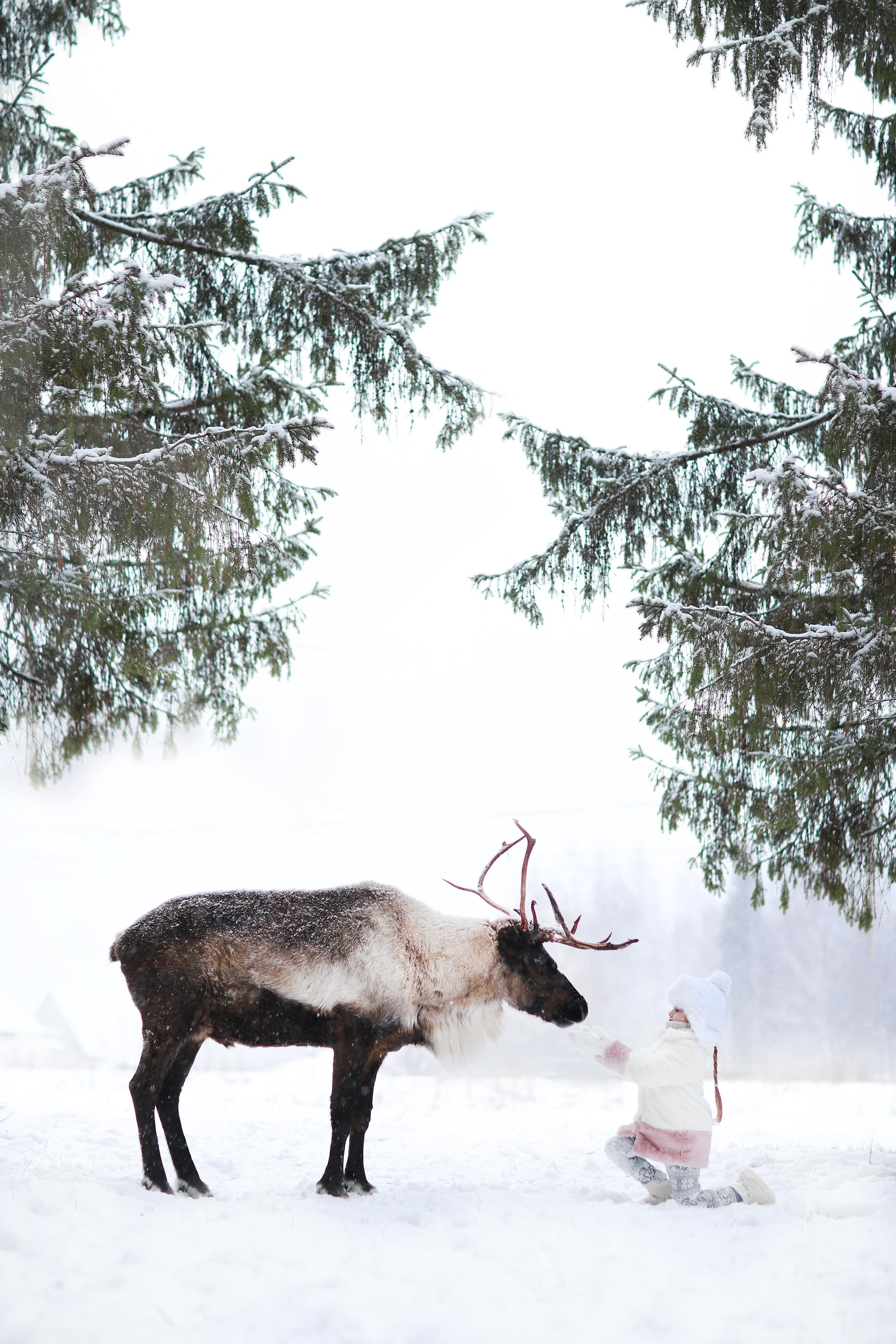 Дети. Photographer Helen Shabalina