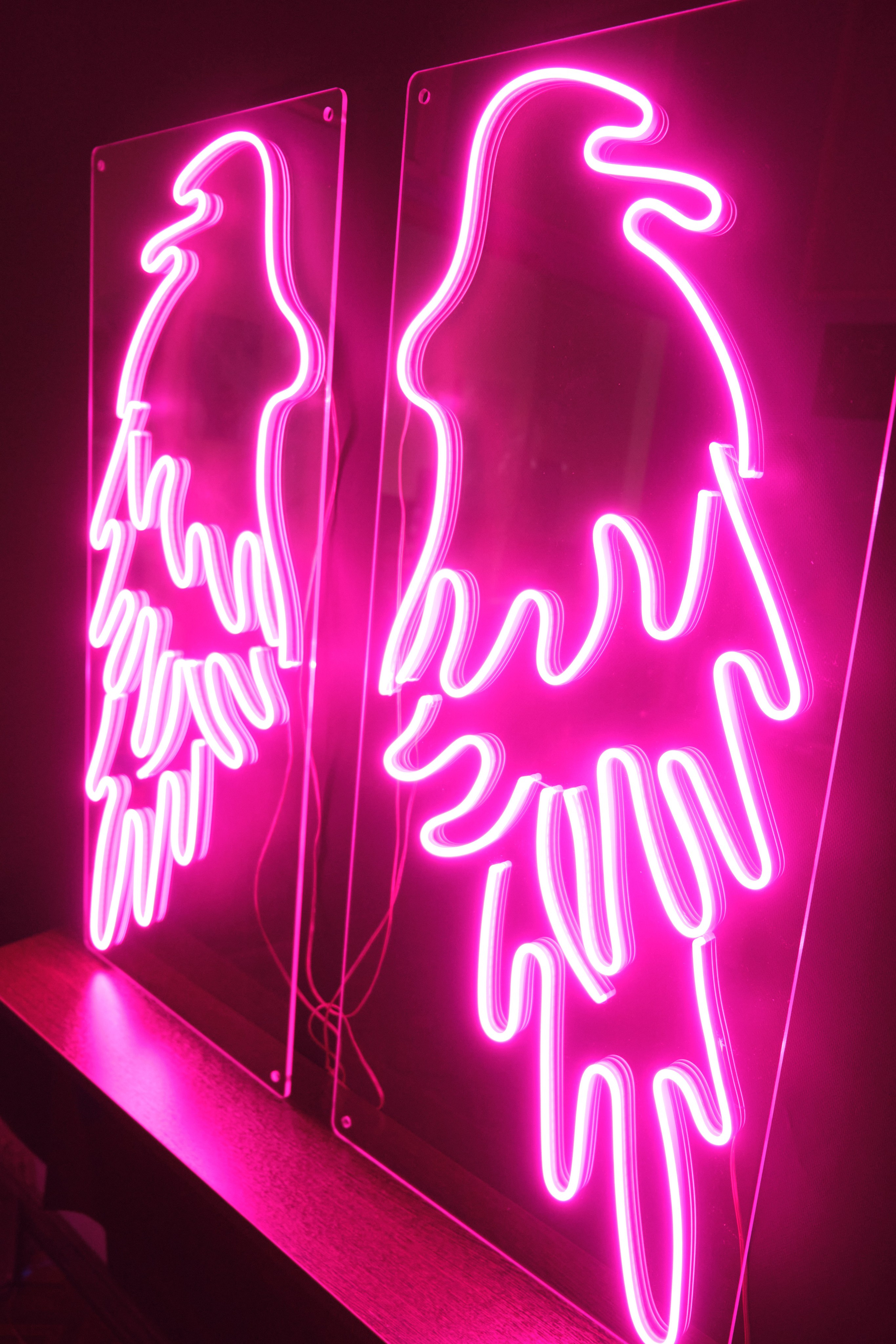 Предметка, неон. Репортажная фото и видеосъемка в Москве под ключ