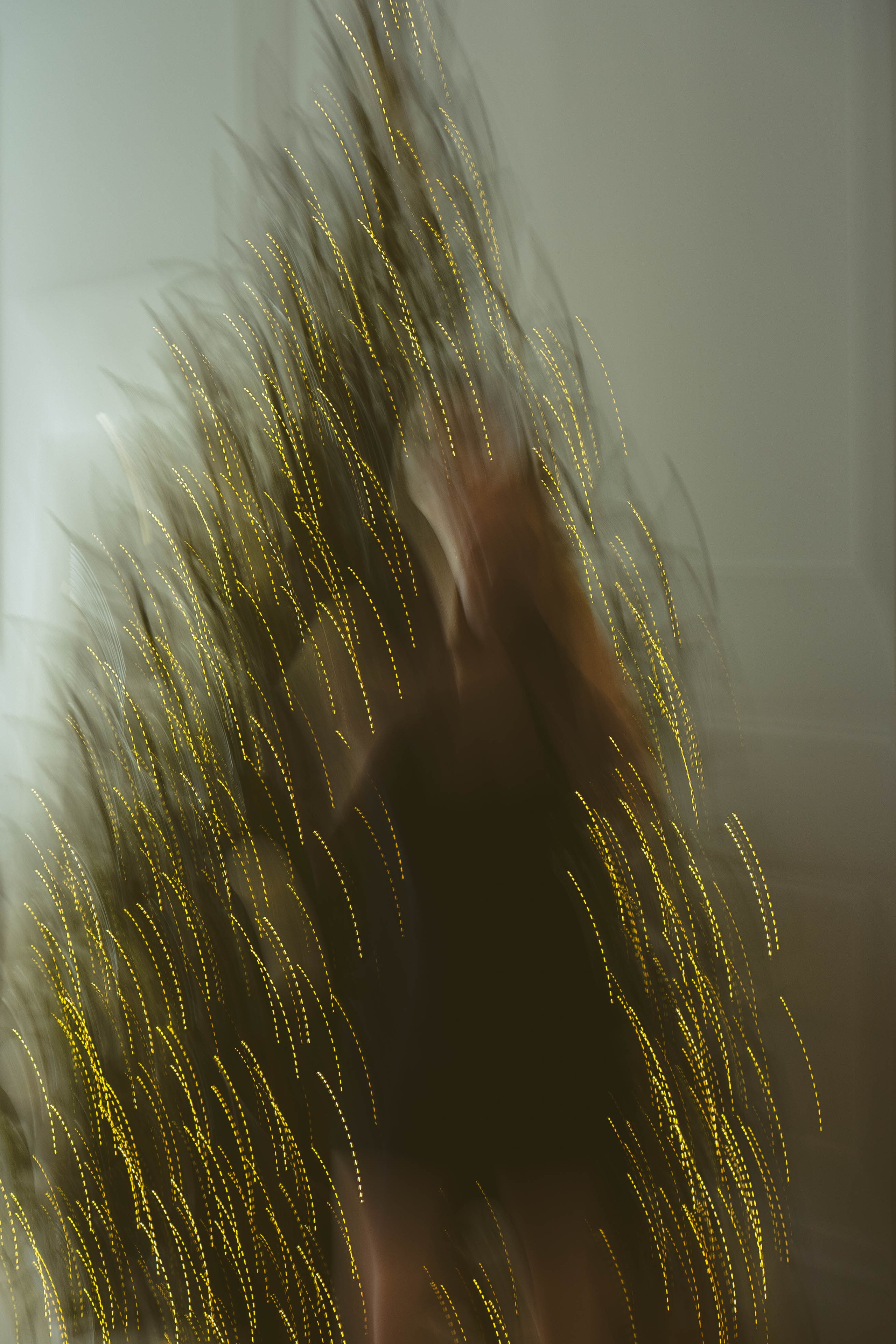 Новогодняя. Профессиональный фотограф, Санкт-Петербург — Виктория Богомолова