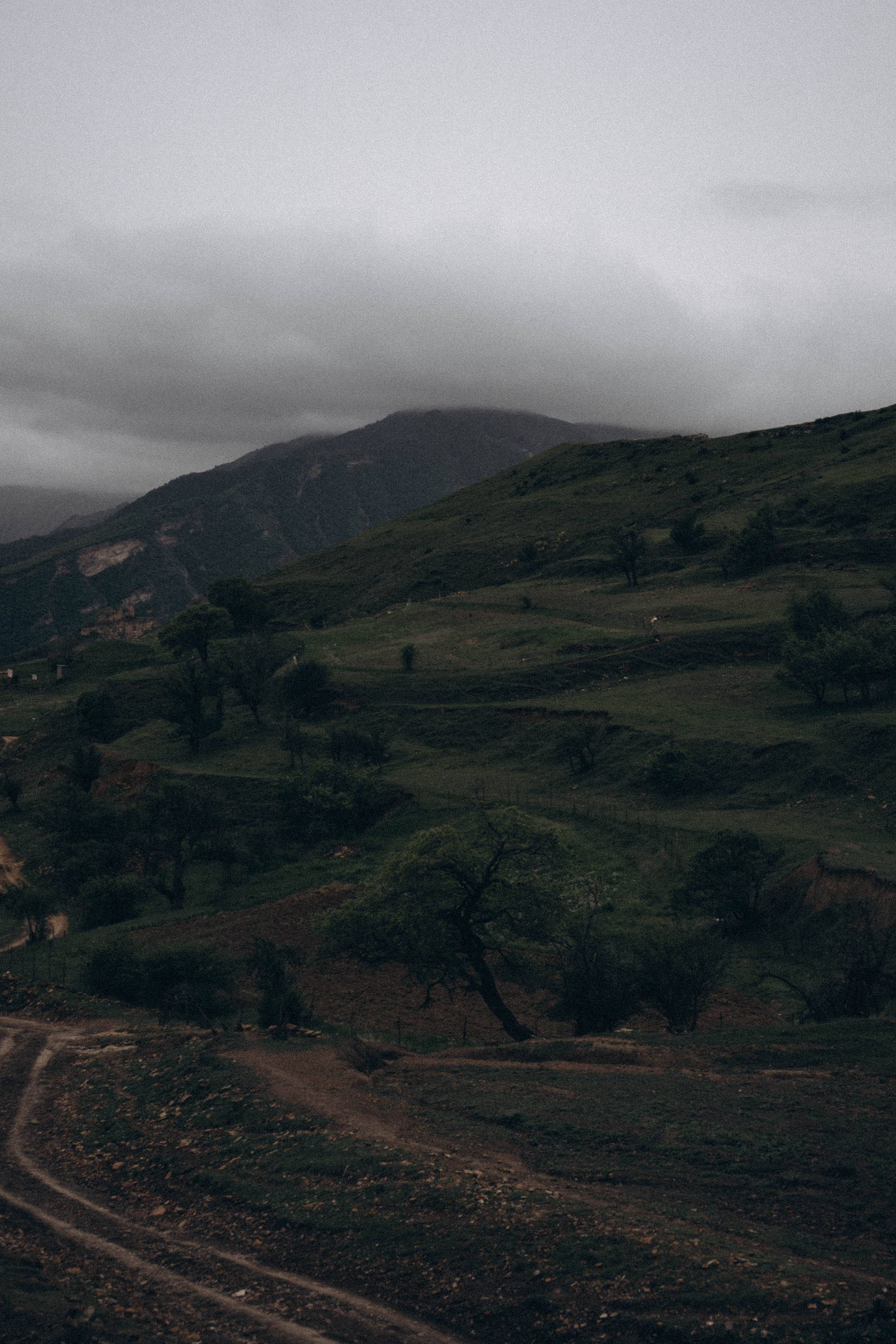 Кавказ. Профессиональный фотограф, Санкт-Петербург — Виктория Богомолова