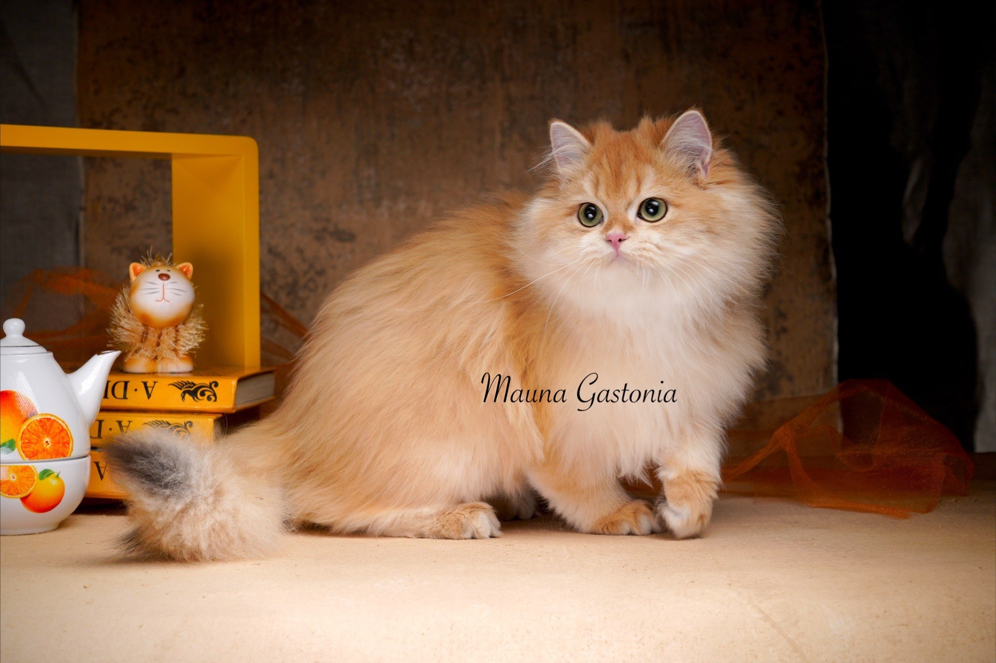 Germes. Mauna Gastonia