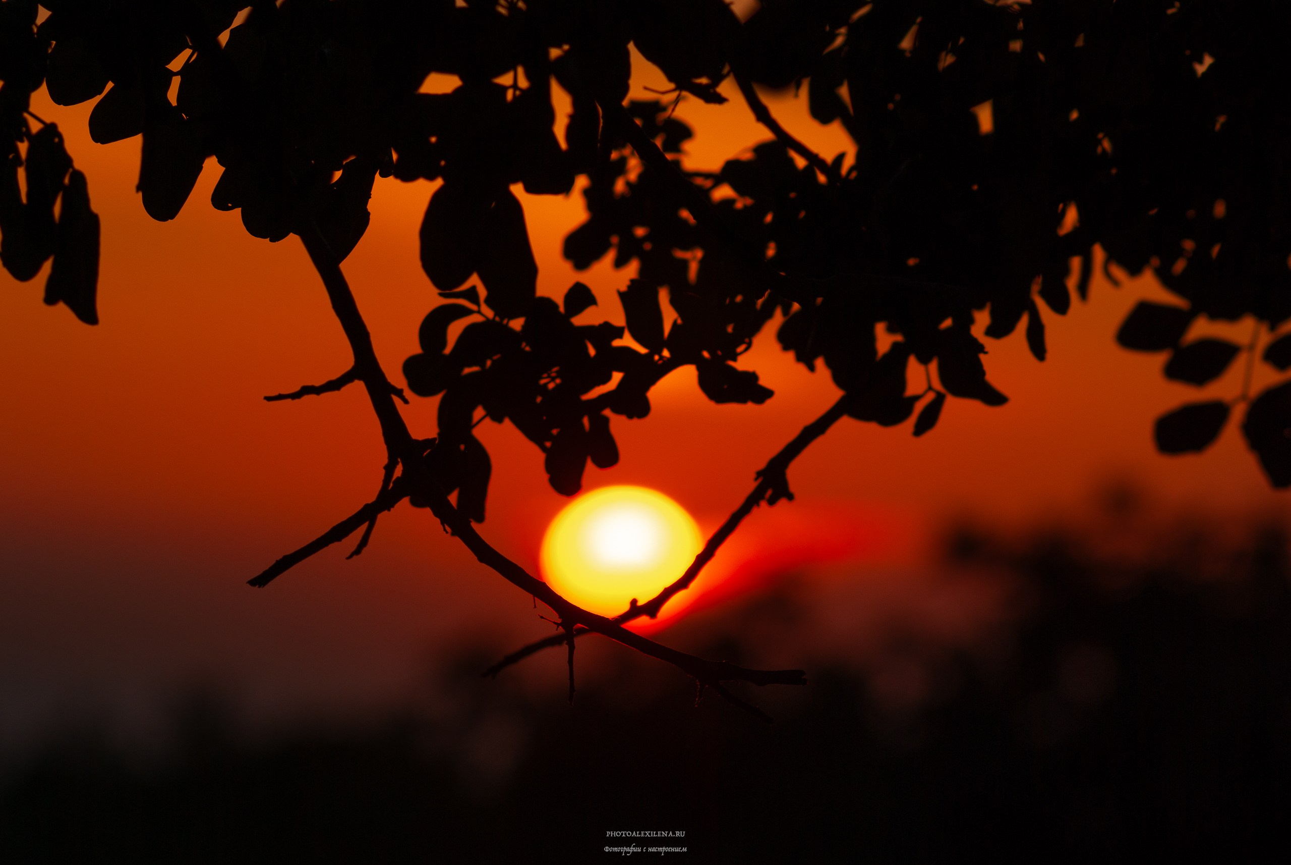 Светило в кадре. Авторские стильные фотокартины