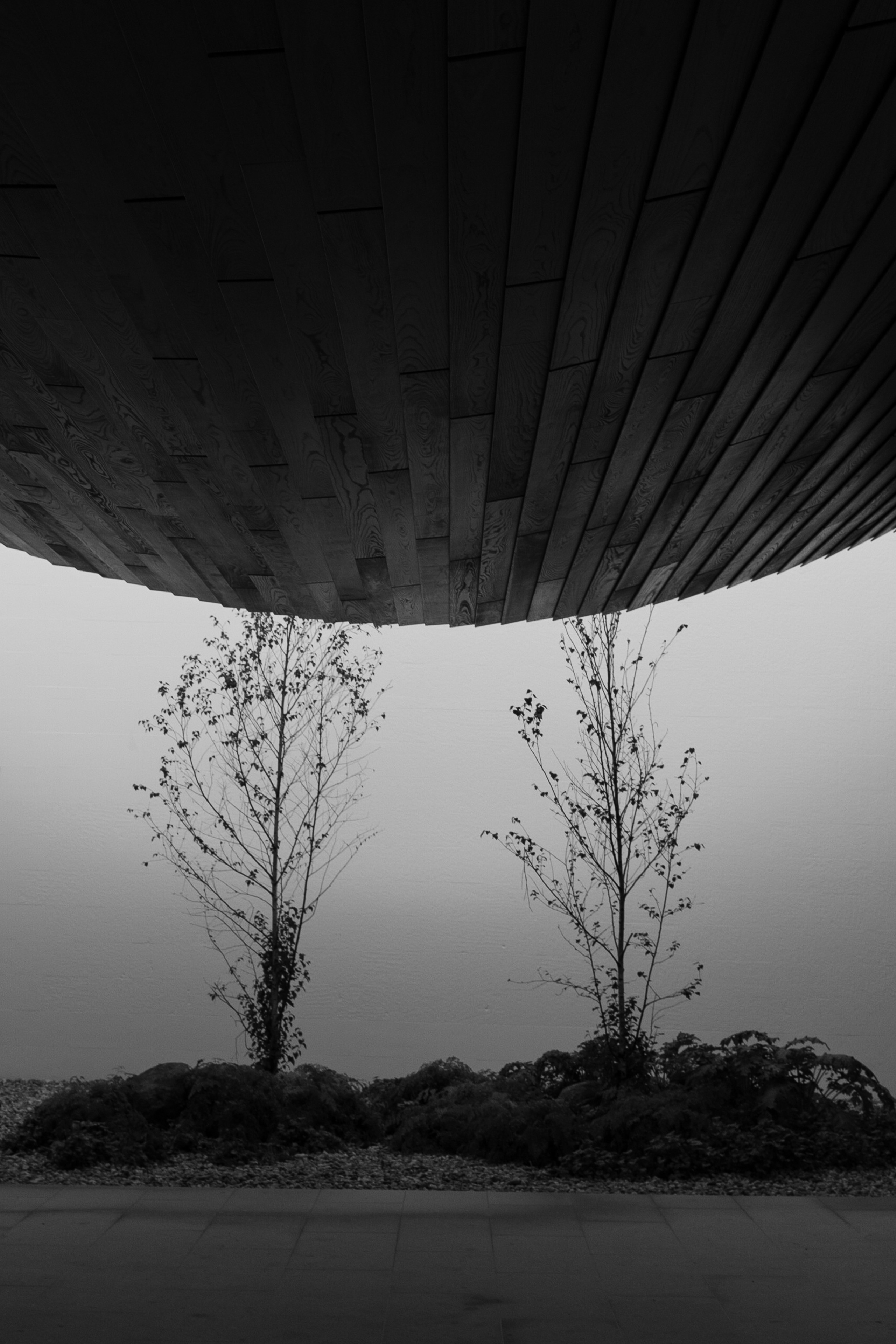 Санаторий для души | Sanatorium for the soul. Фотограф алина стерхова, алина стерхова фотограф, фотограф москва