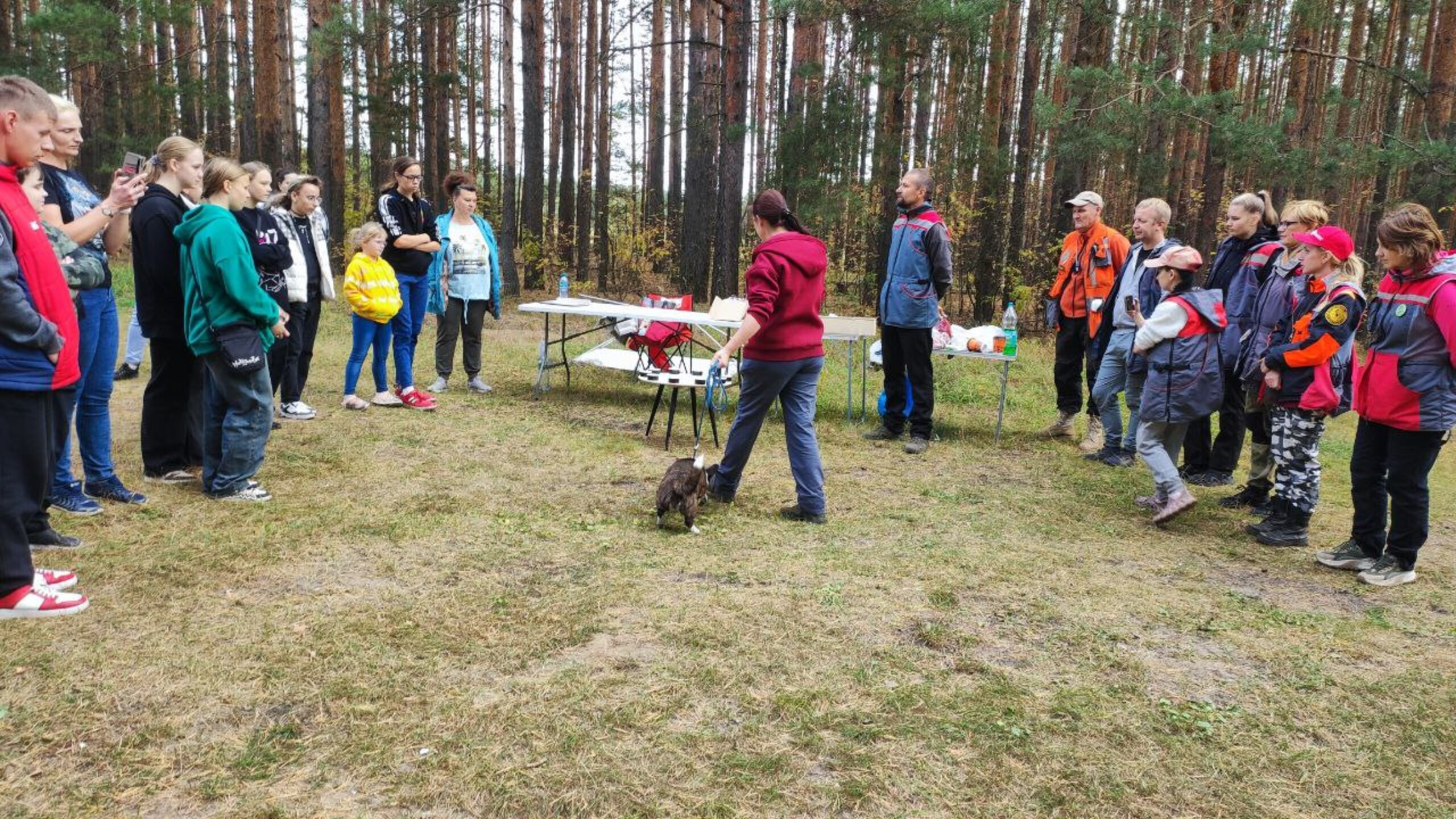 Практические занятия по дрессировке. НРОО КЦ "Собаковод"