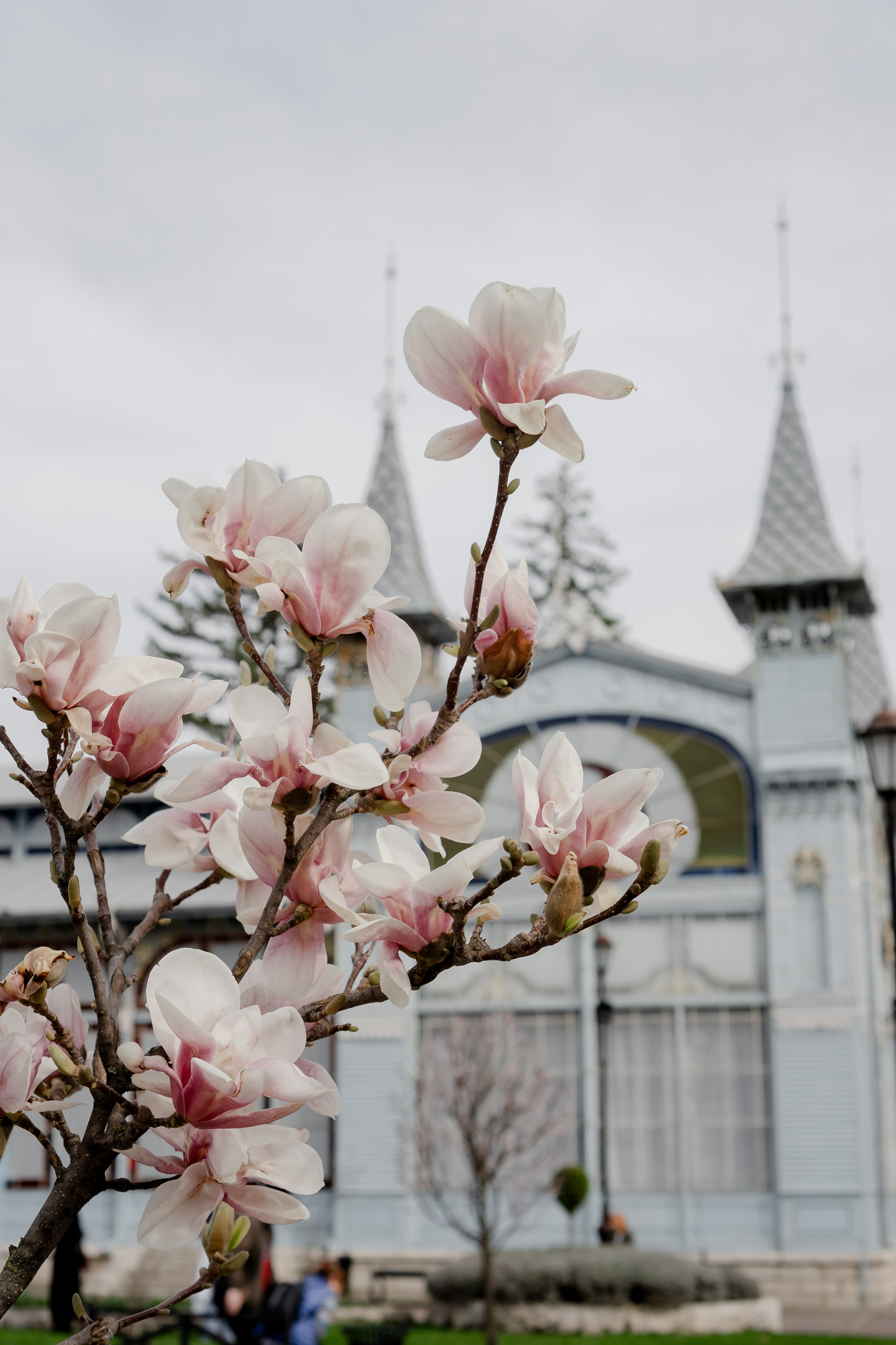 ПЯТИГОРСК. Профессиональный фотограф, Санкт-Петербург — Виктория Богомолова