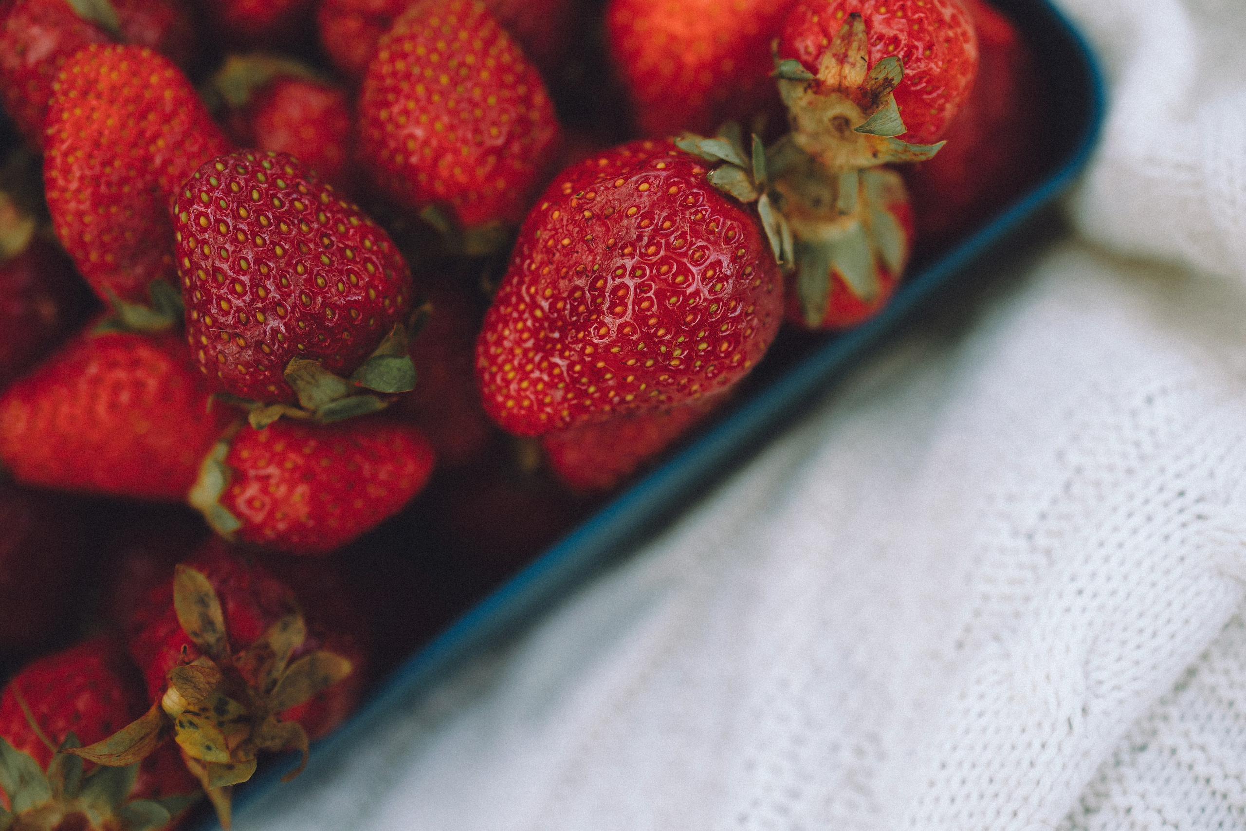 Даша и Дэзи