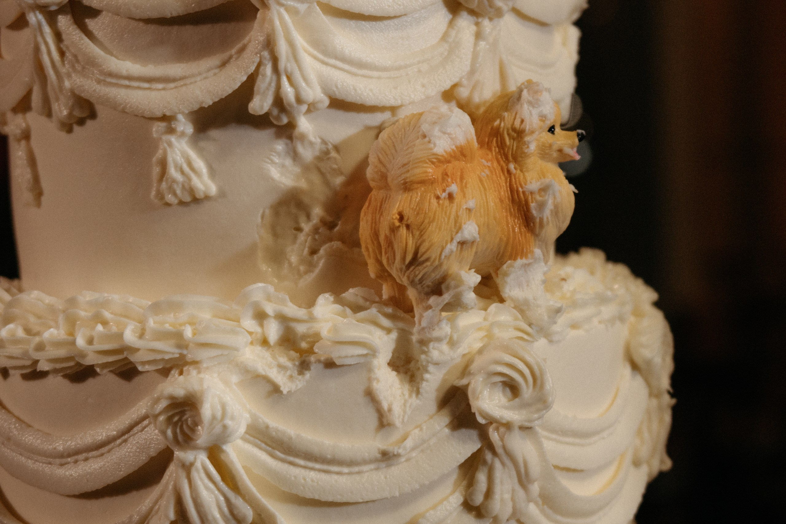 Свадебный фотограф Надежда Попова Архангельск, Санкт-Петербург