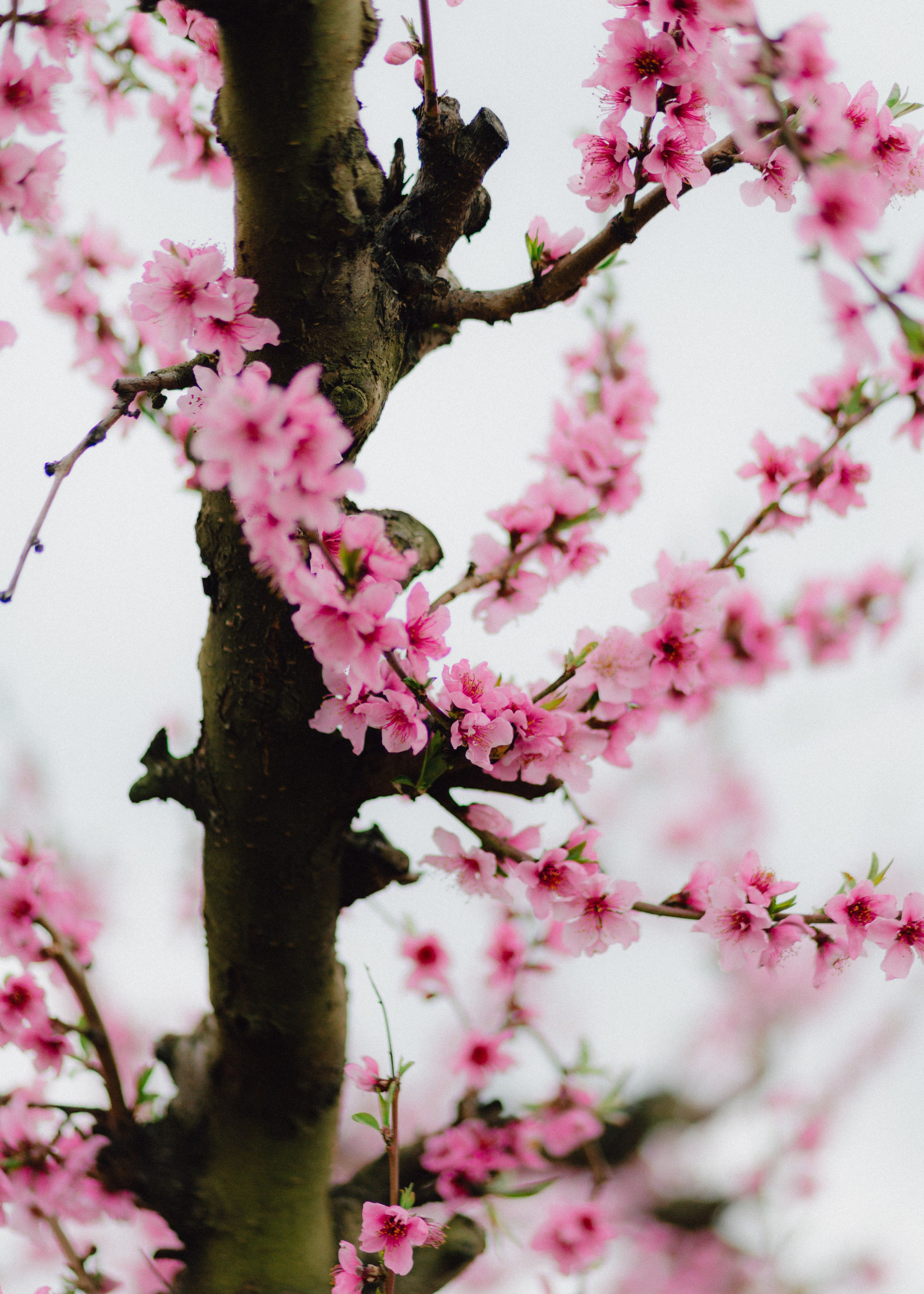 Sasha & Anton. Barbara Isaeva