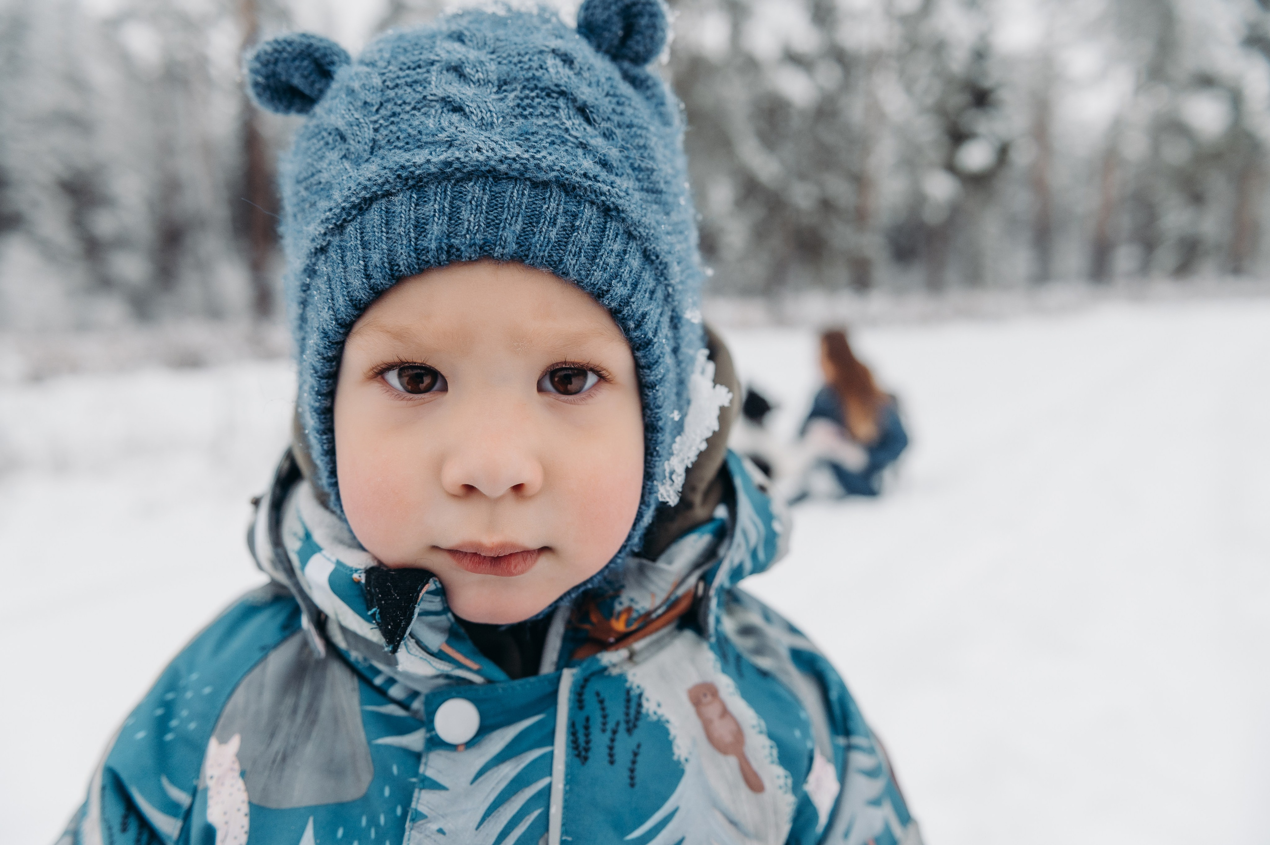 Снежная прогулка. Главная
