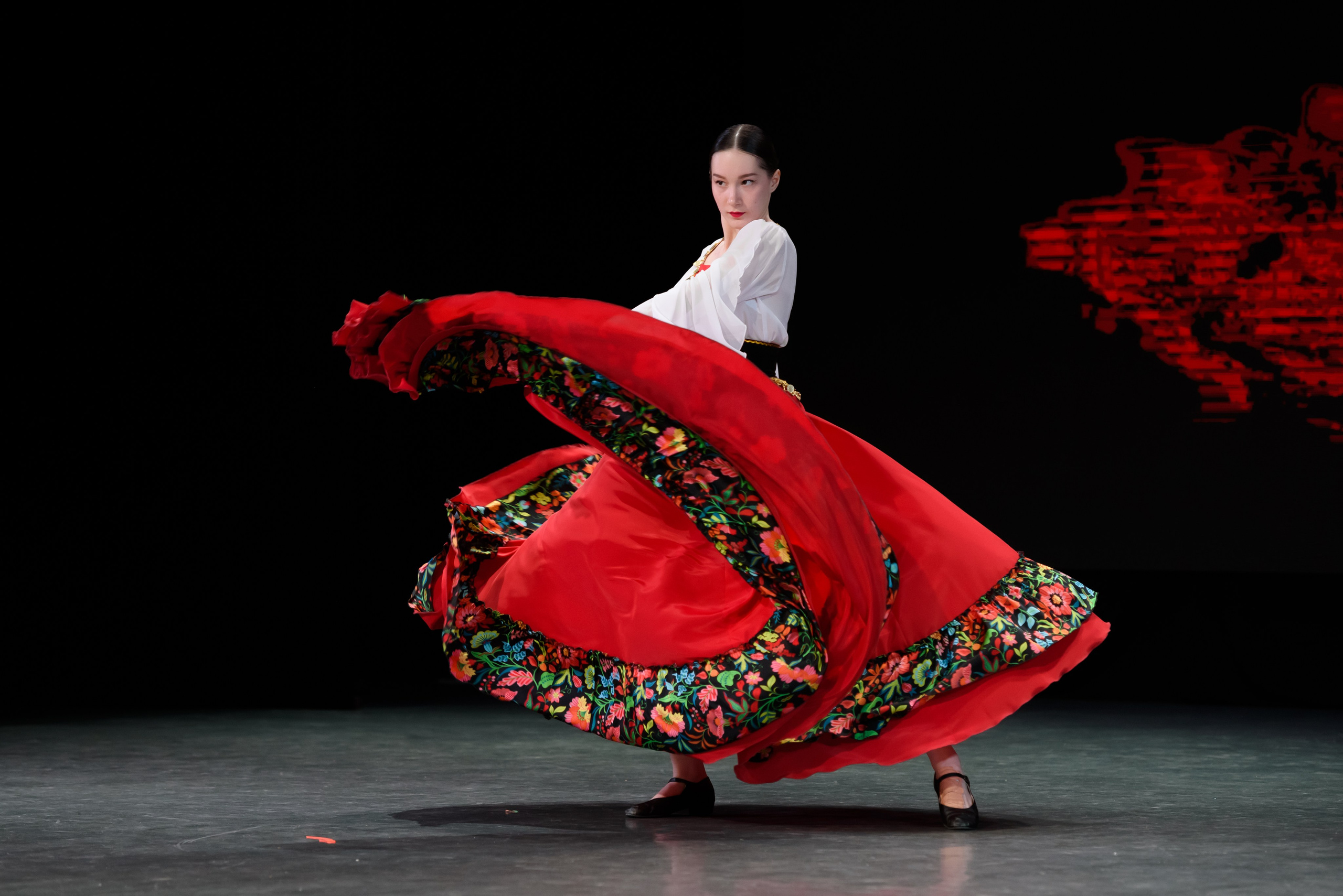 Концерты. Репортажный фотограф Владимир Шкоткин Липецк