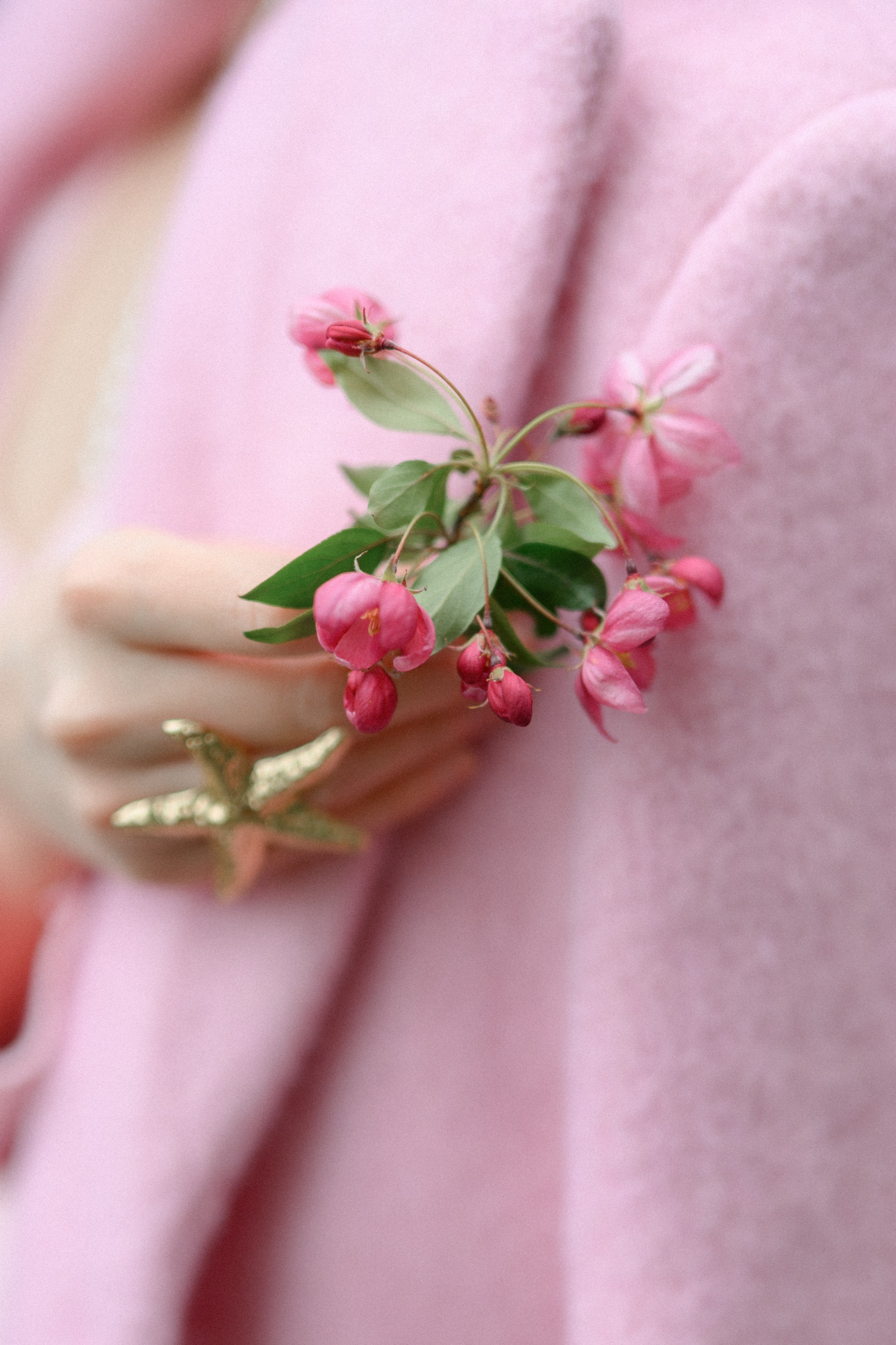 Фотосессии в розовом цветении в Екатерининском парке в Москве. Semerlina.ru