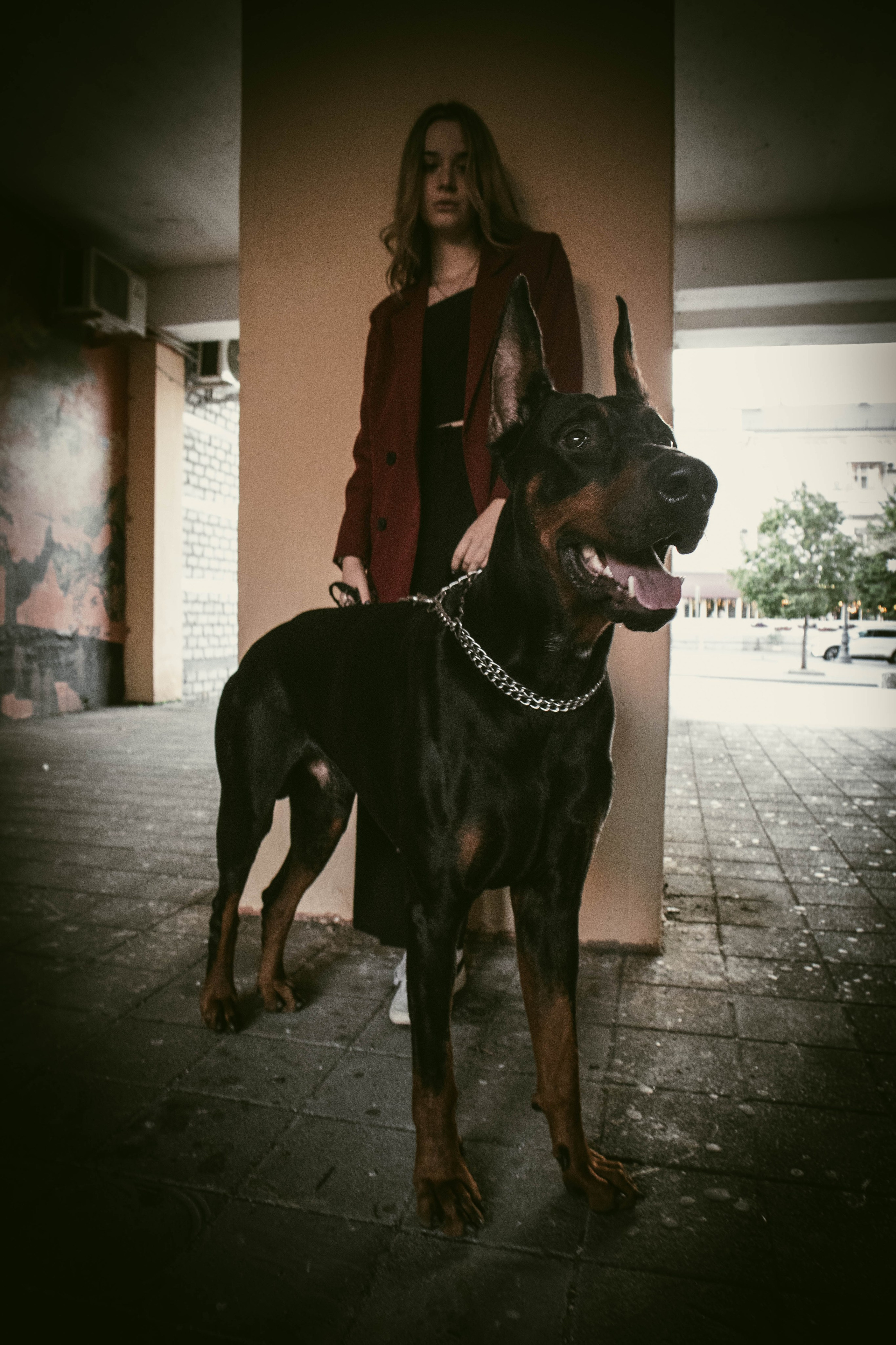 «Жизнь в ритме шага: пара с доберманом». Уличный фотограф Города N