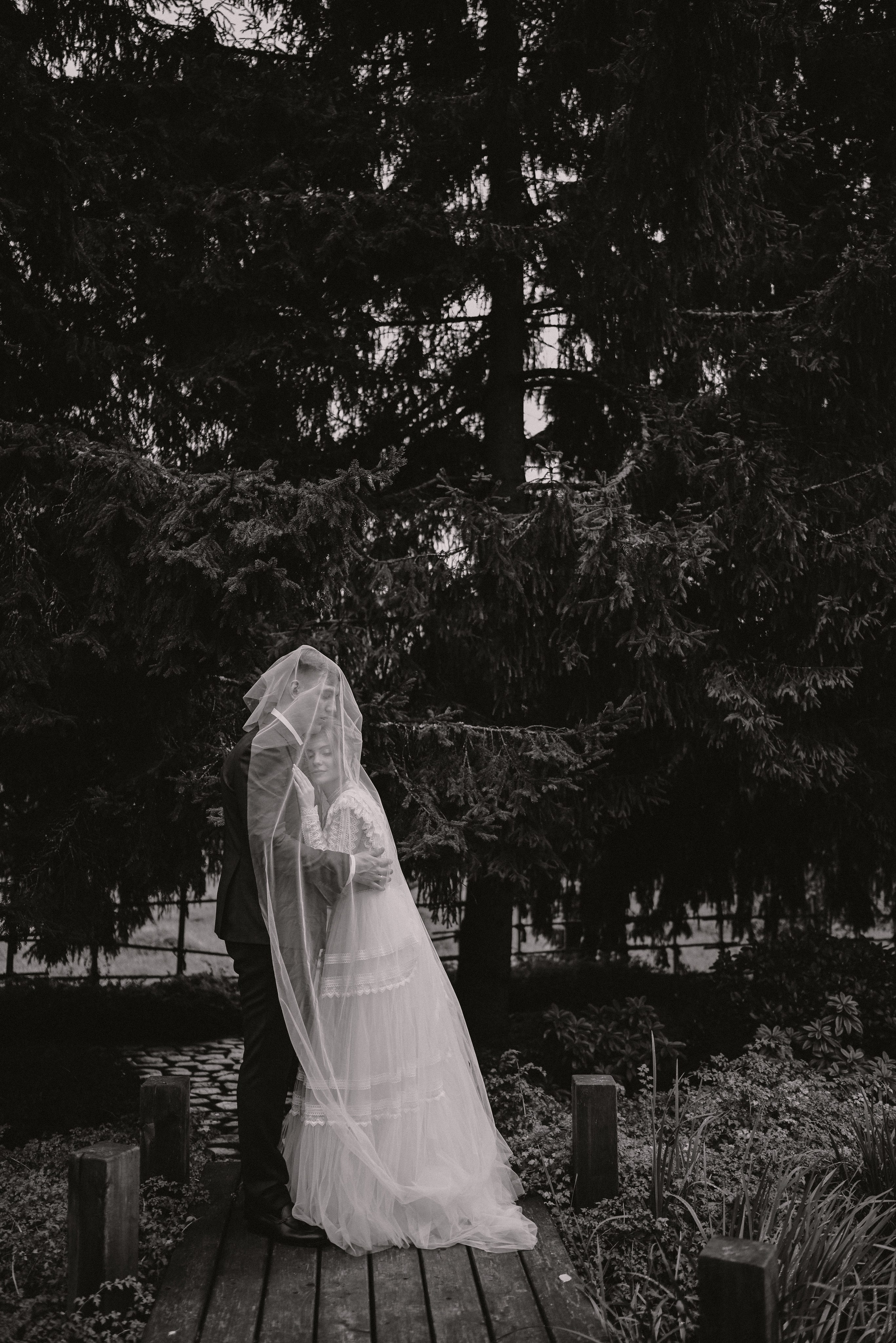 Никита и Дарья. Свадебный и портретный фотограф