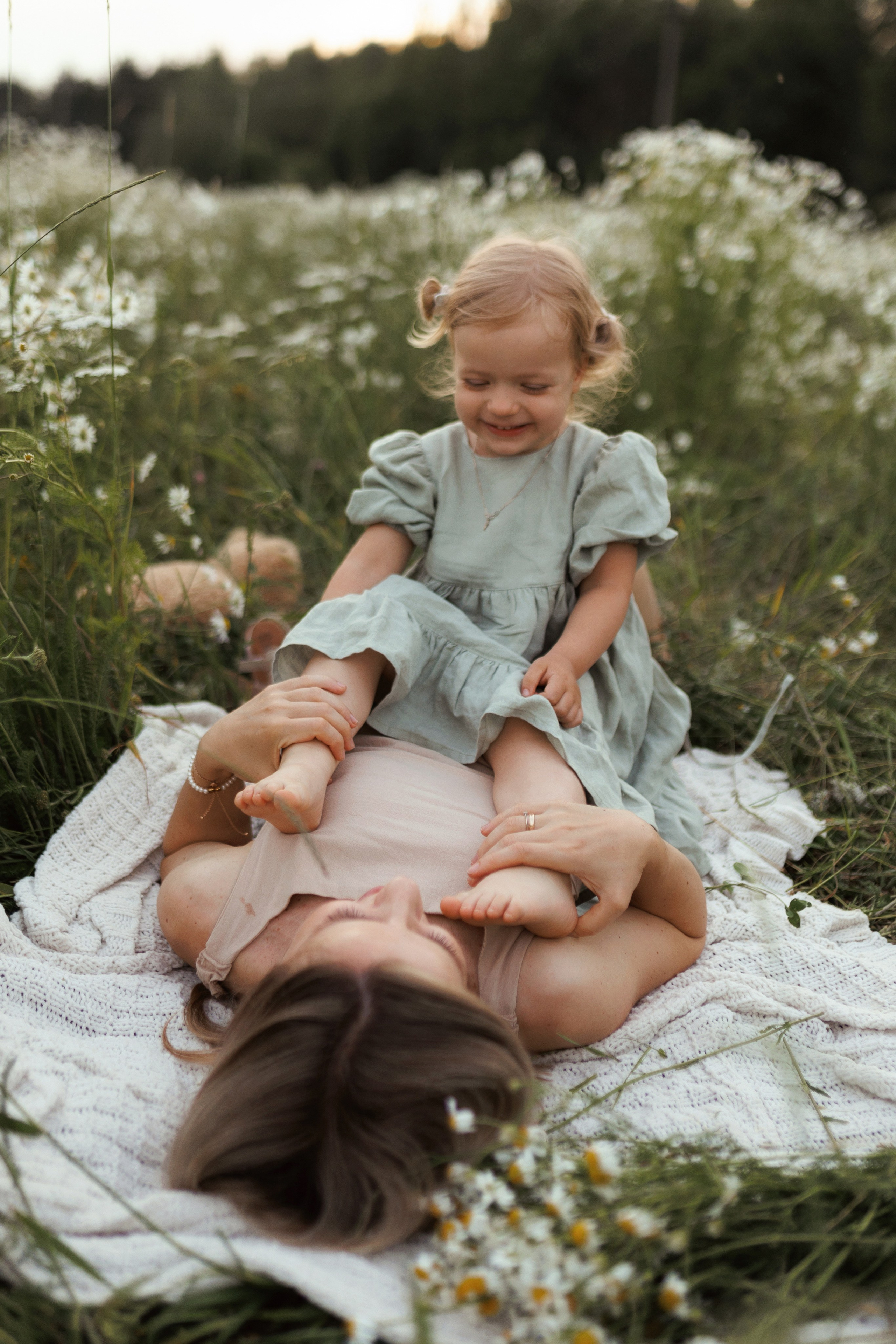 В ромашковом поле. Фотограф в Красногорске и Москве
