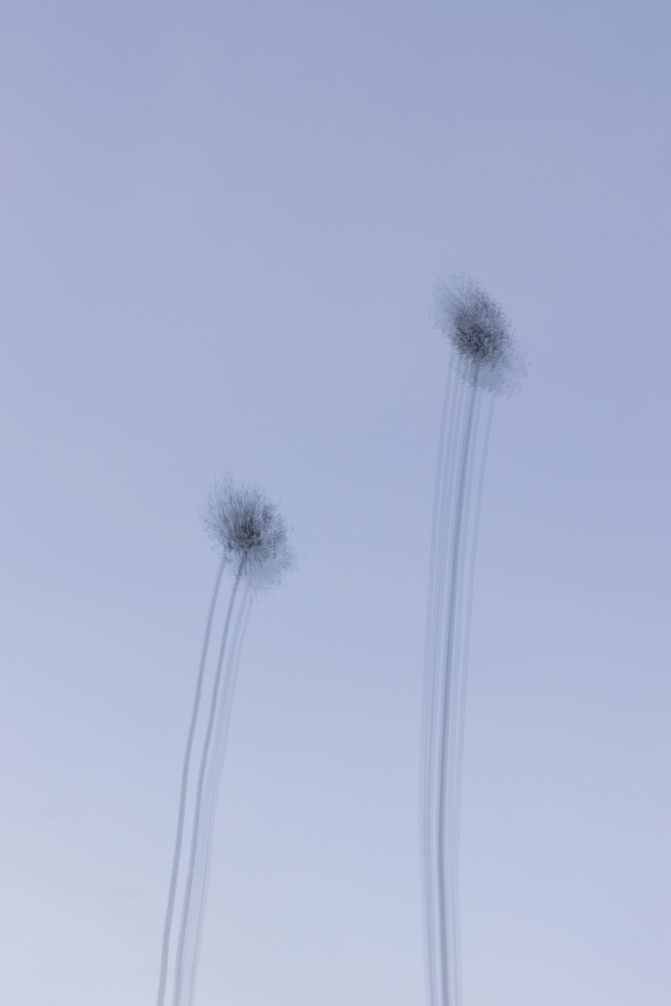 Art prints. Фотограф алина стерхова, алина стерхова фотограф, фотограф москва