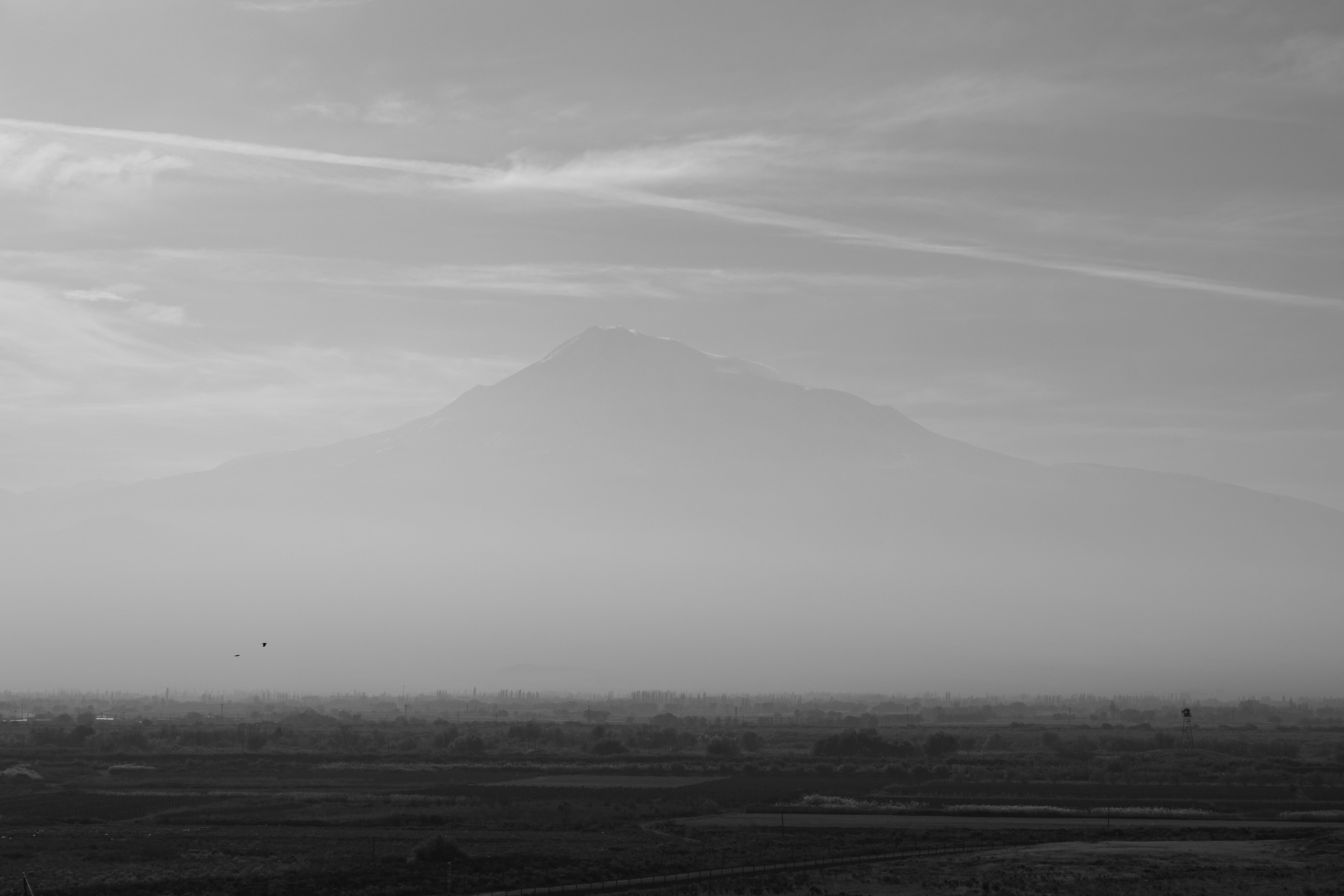 Art prints. Фотограф алина стерхова, алина стерхова фотограф, фотограф москва