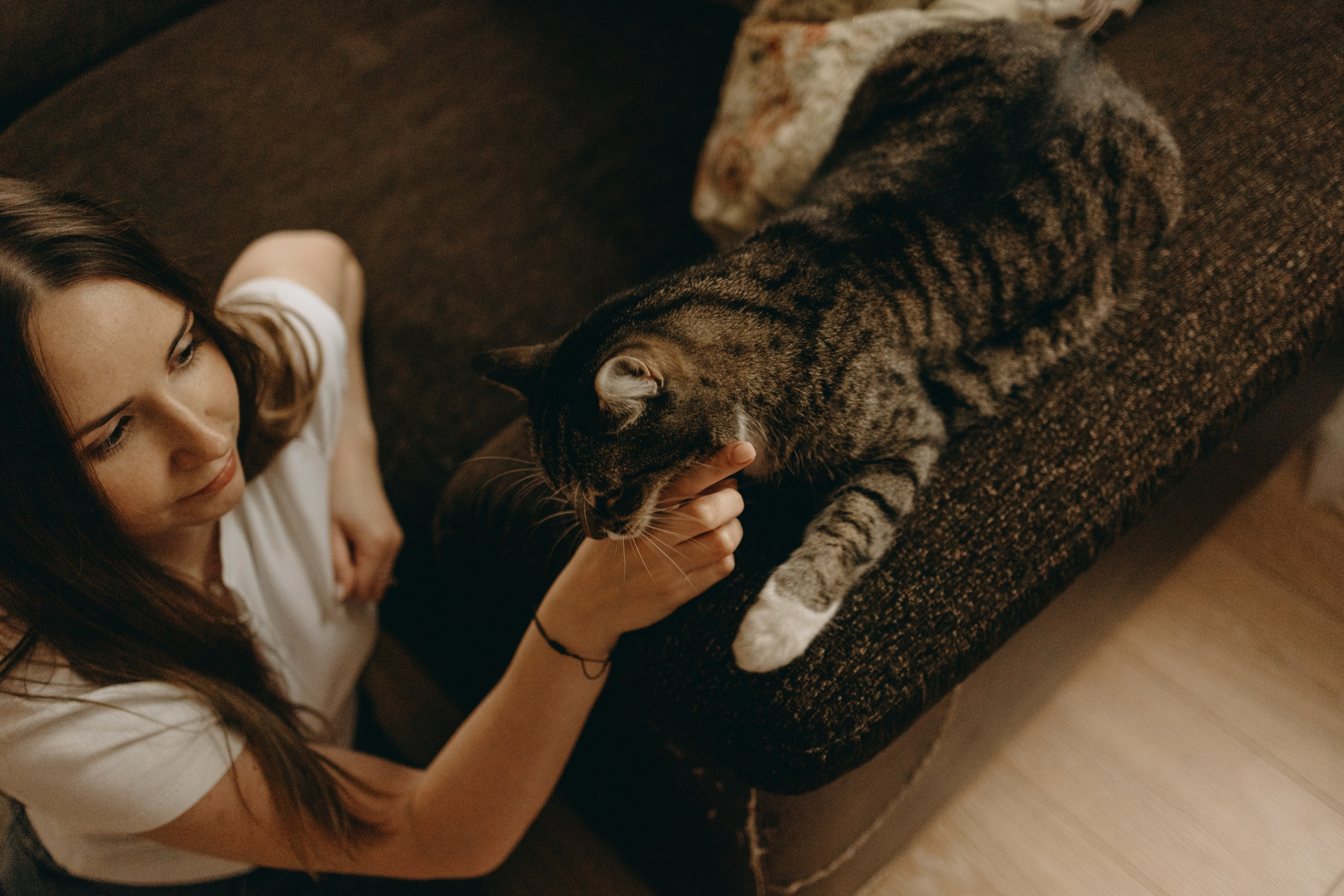 Софа и ее хвостики. Фотограф — Анималист | Санкт-Петербург