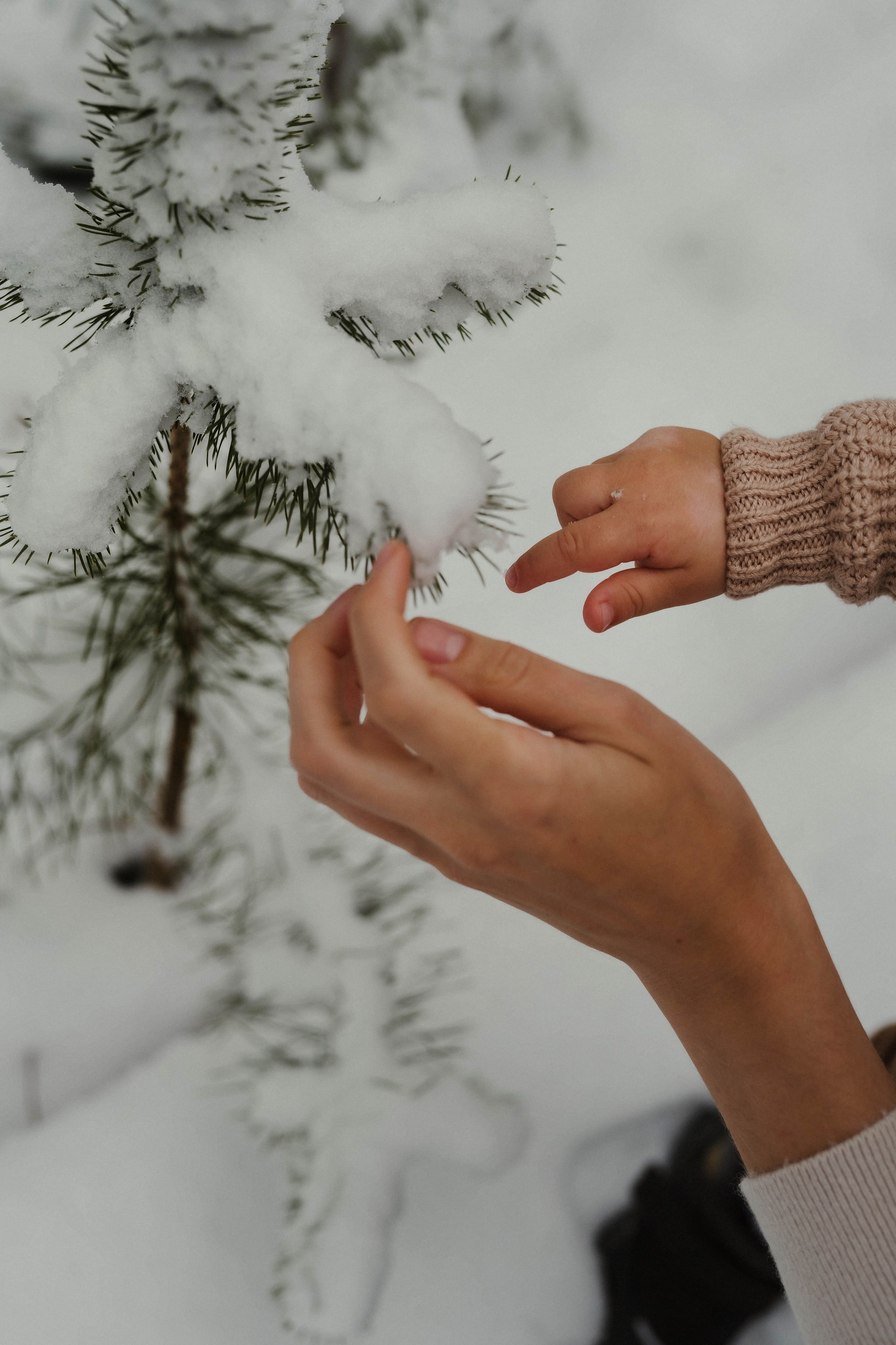 Семейные истории. ФОТОГРАФ КСЕНИЯ СОСНОВСКАЯ