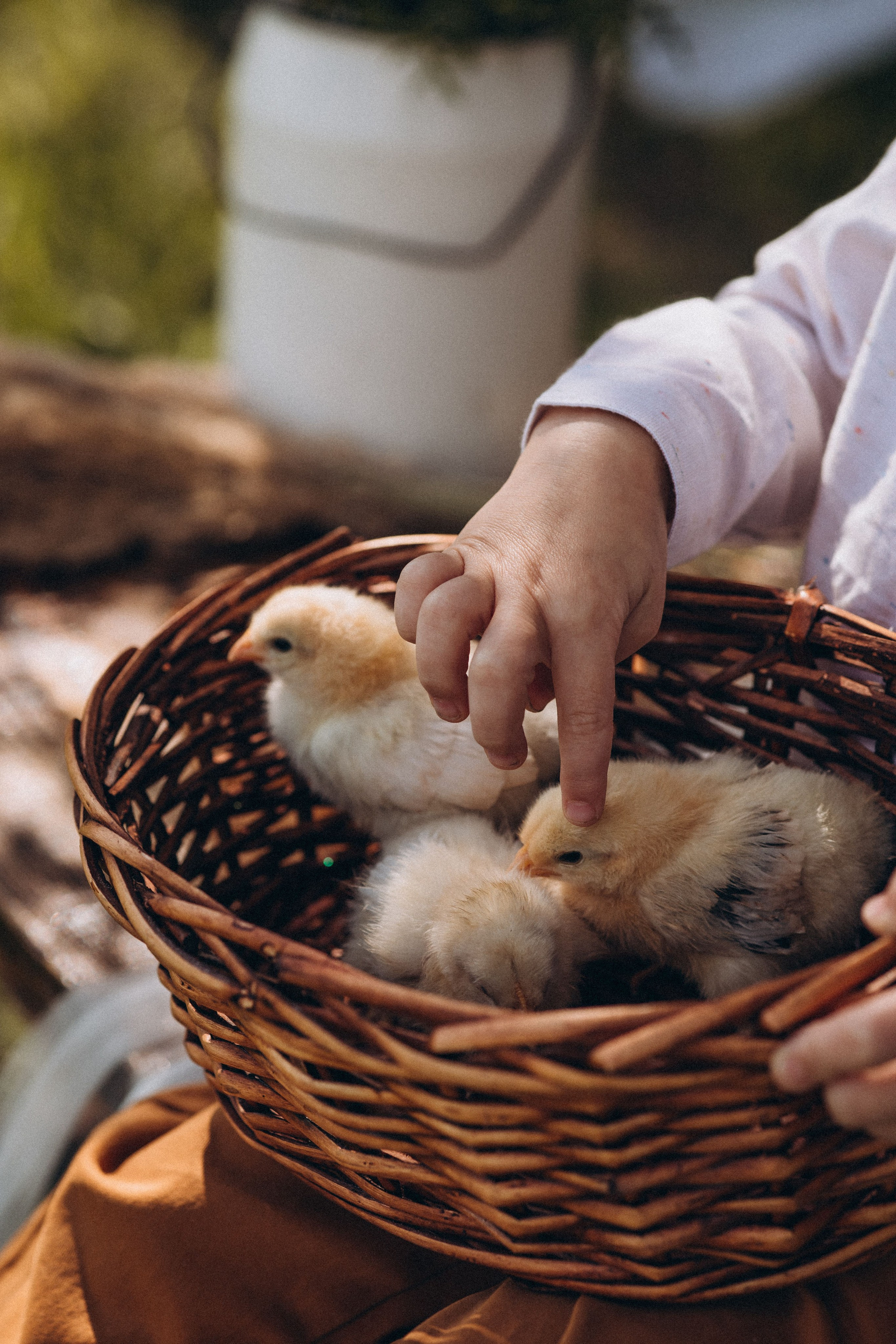 Алена. Семейный фотограф Нижневартовск Тюмень Ефимова Ирина