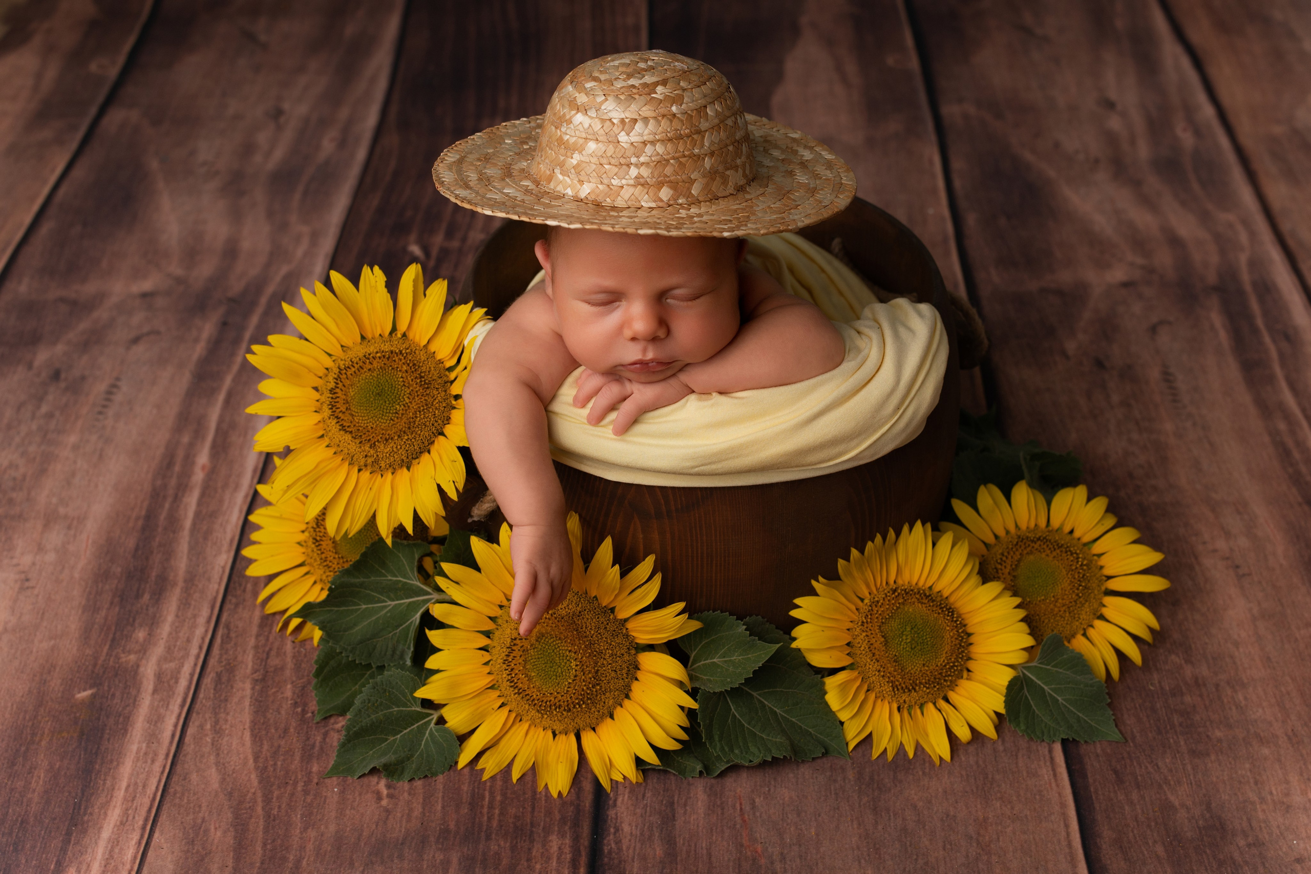 Новорожденные. Главная