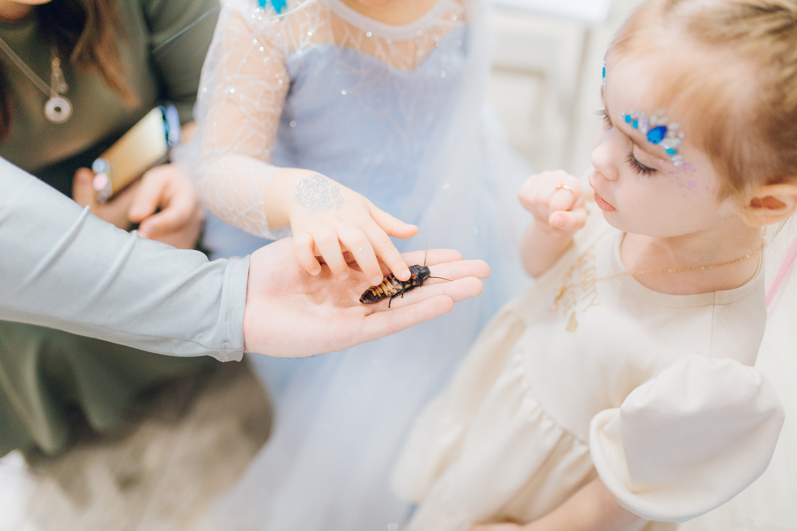 Оливия 4 года. Главная