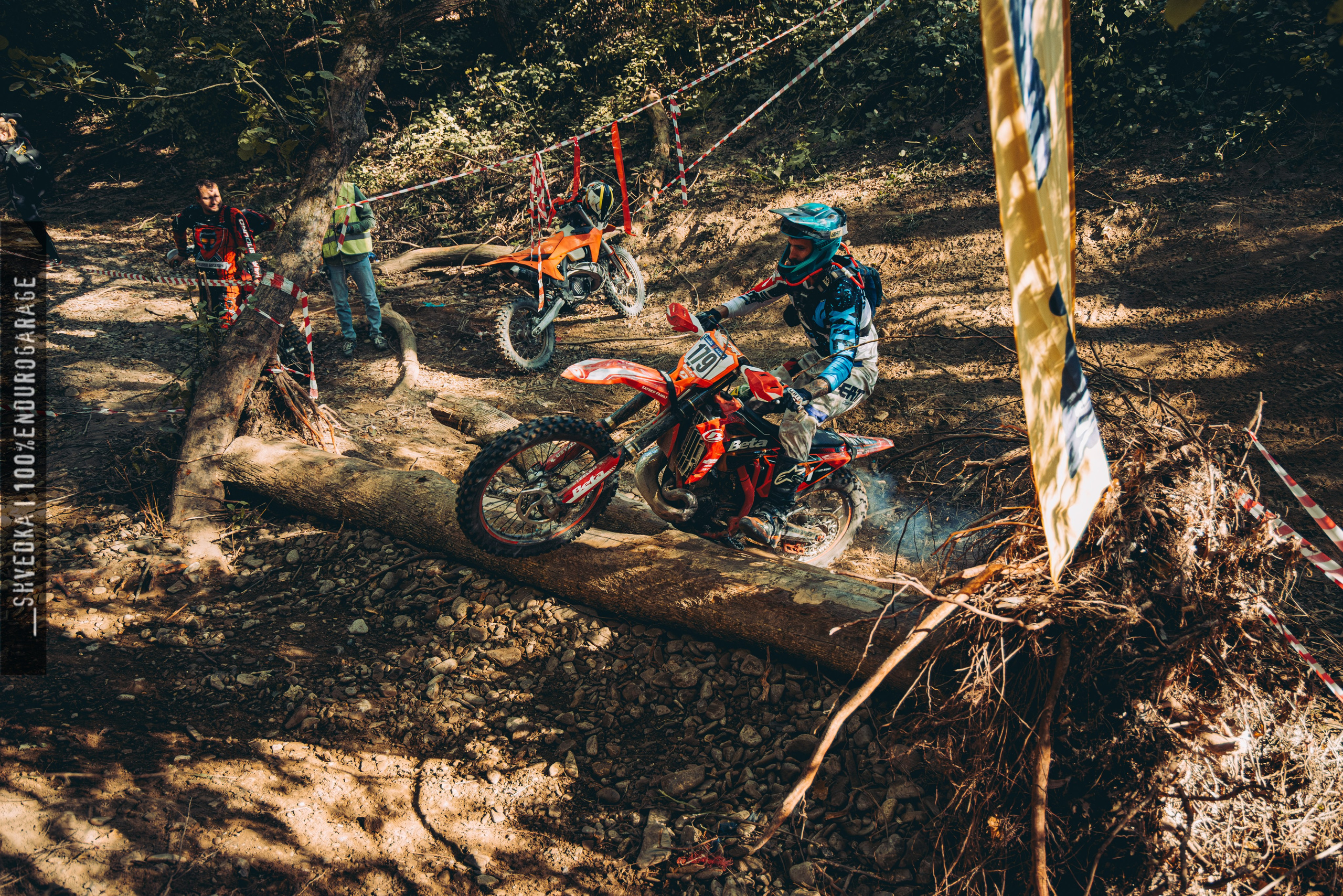 2 лесной день. Ваш экстрим фотограф Кудрева Яна