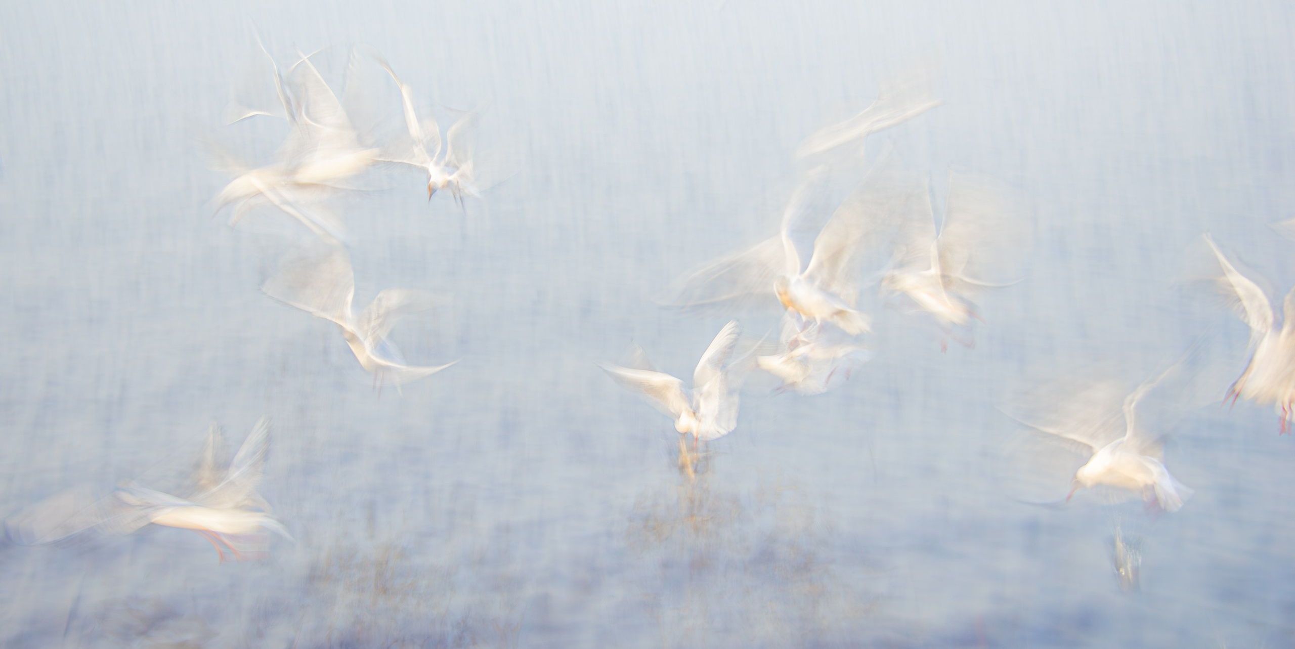 THE NATURE OF TIME. LUMEN DUO Art photography for interiors