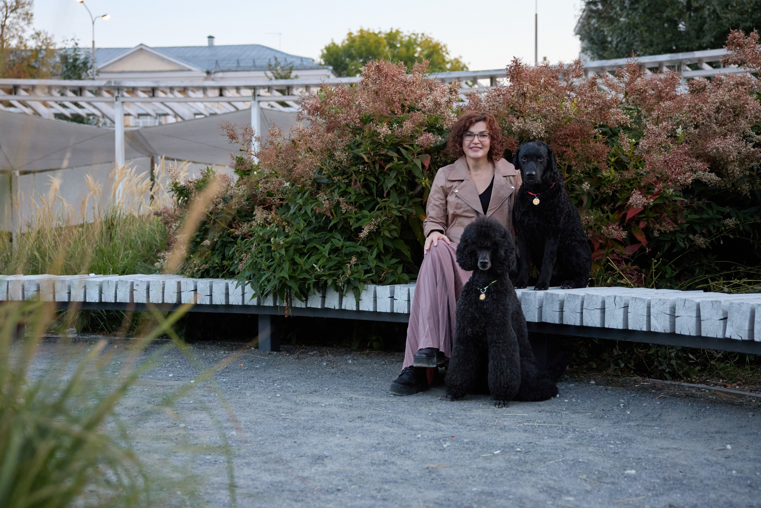 Альбина. Марфа и Мистик. Прогулка в парке. Фотограф анималист в Казани Алина Сулейманова. Фотограф животных