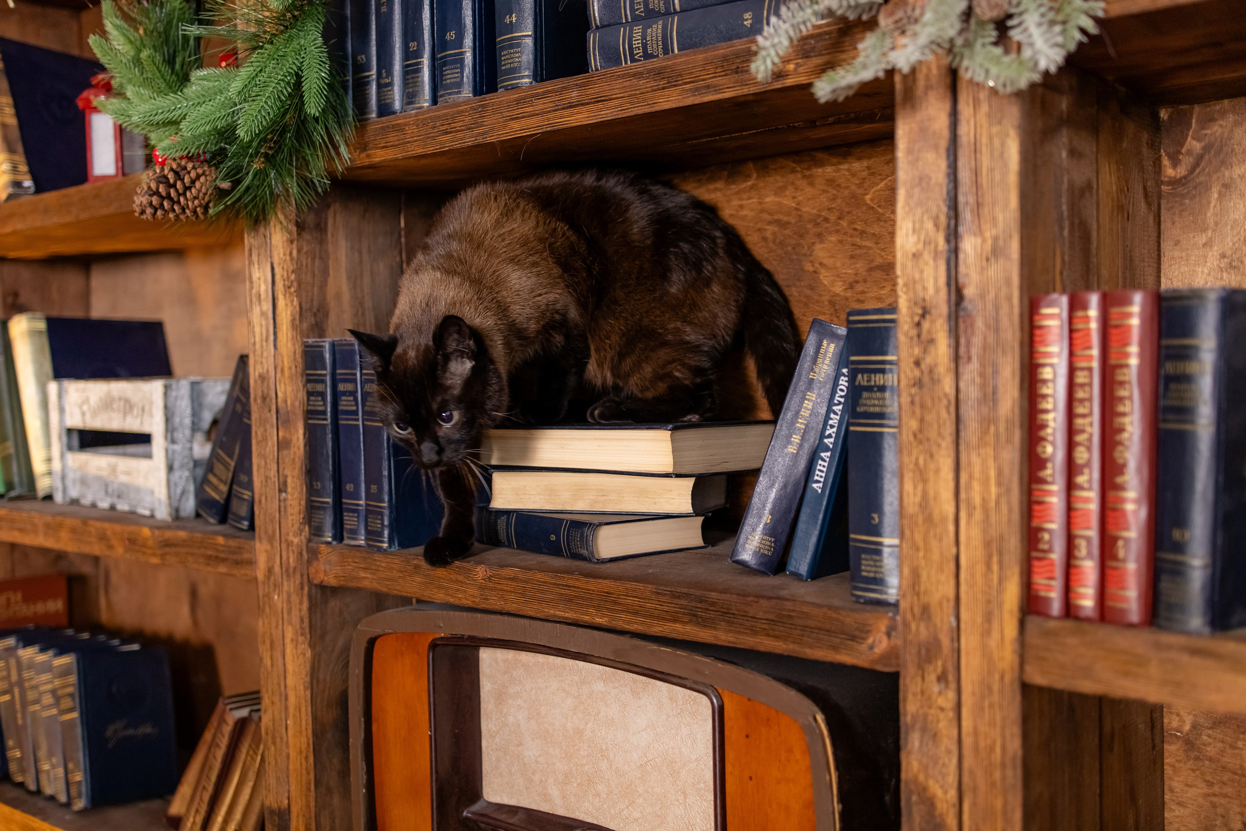 Family. KATERINA VINOKUROVA ФОТОГРАФ ПЕРМЬ