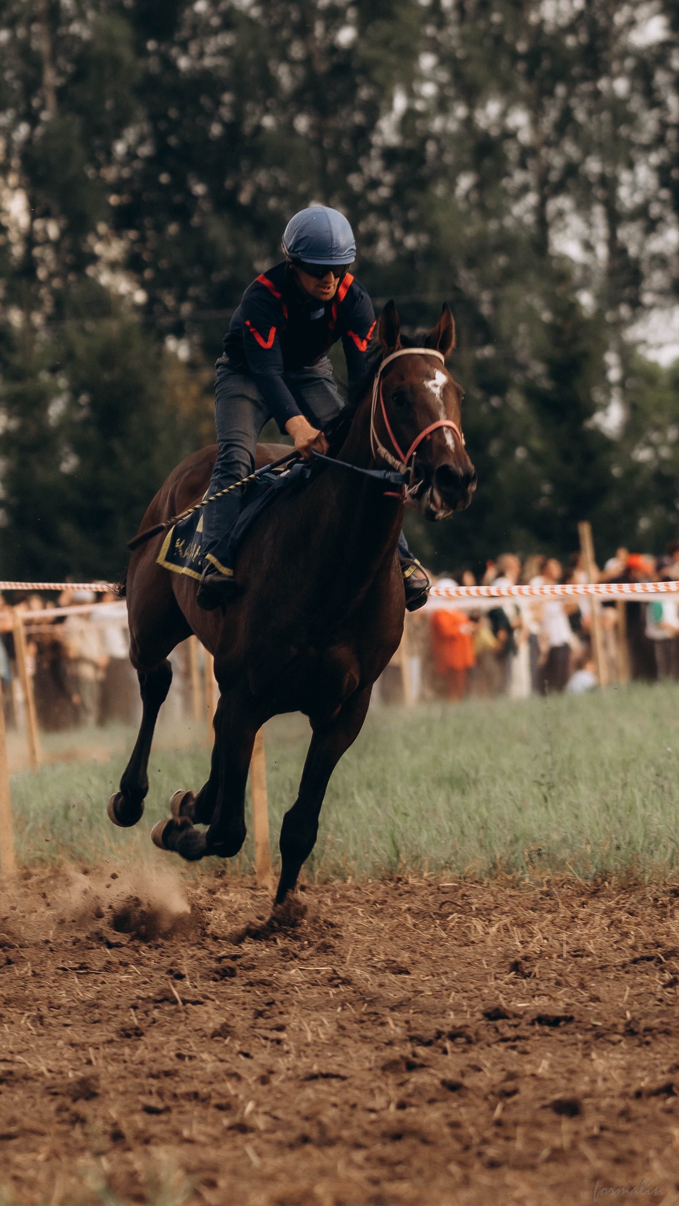 День Коня. Алиса Никитцова | Фотограф в Казани