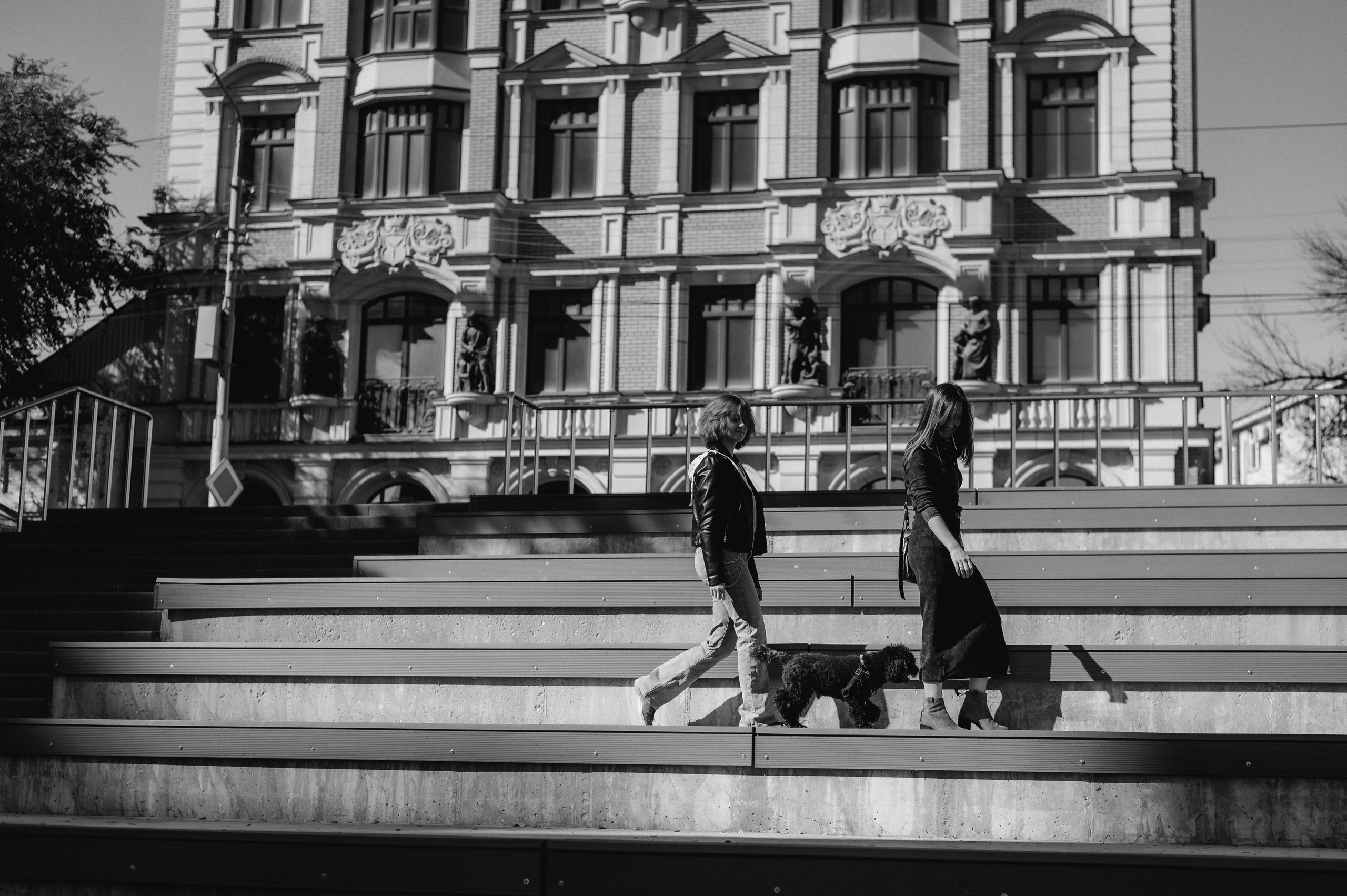 Осенние приключения Чарлика и его хозяек. Фотограф Мария Стрелкова