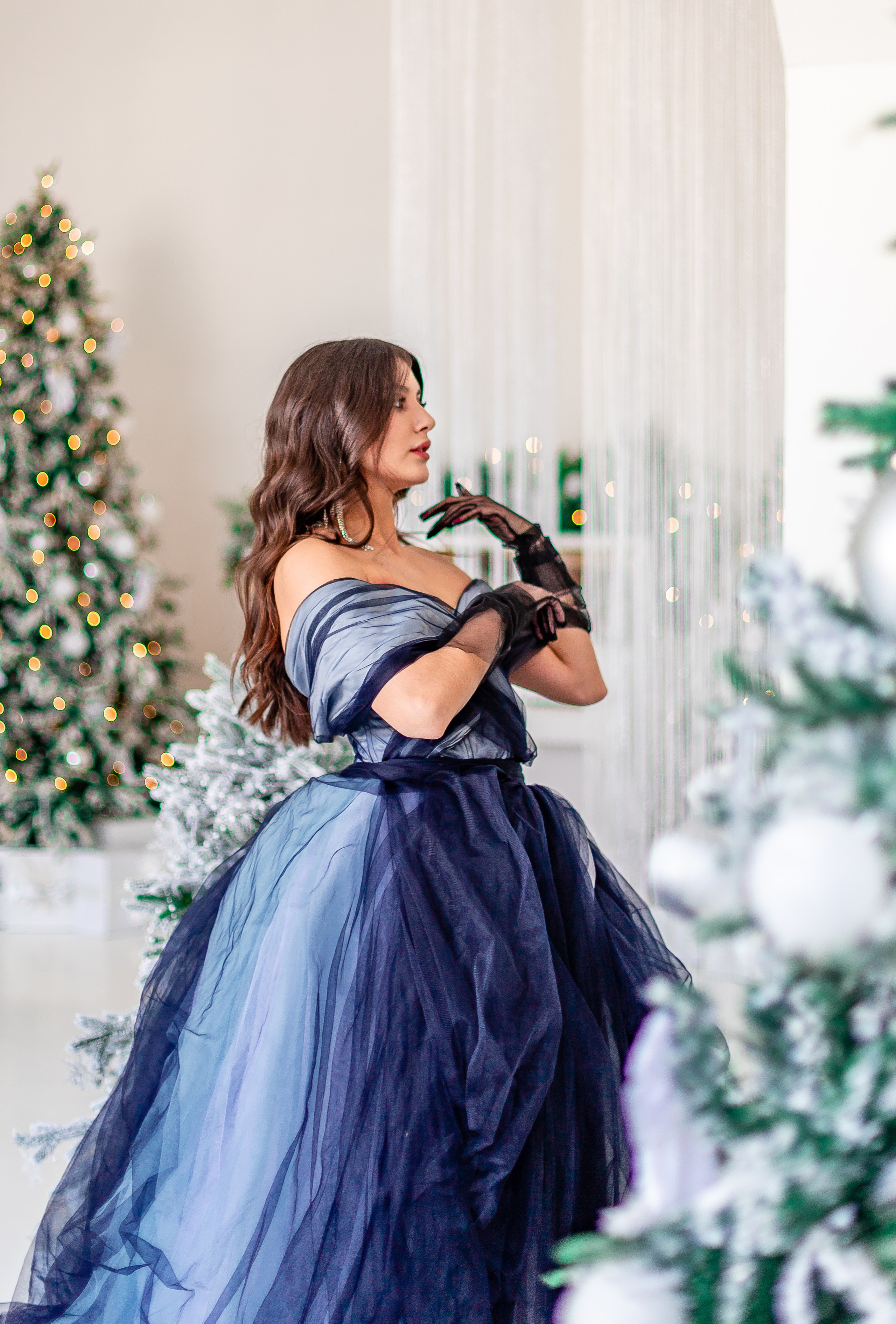 Фотосет Ренессанс Новогодний. Семейный и детский фотограф в Хабаровске Алевтина Проскурякова