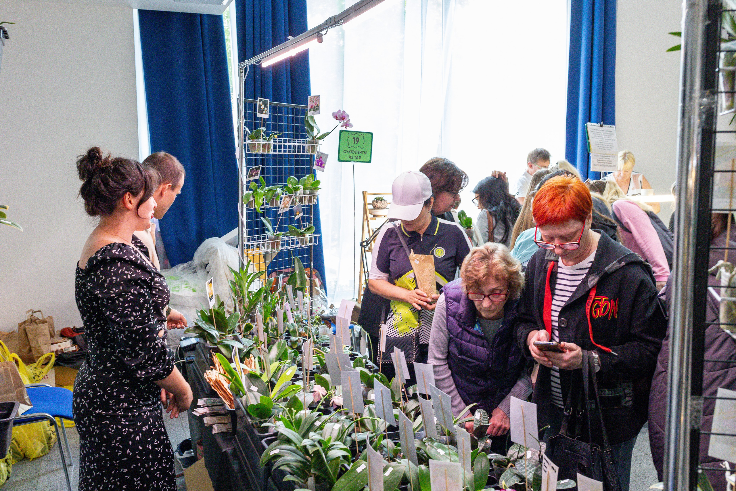 Орхидиум май 2025. Александра Куликова фотограф, Москва