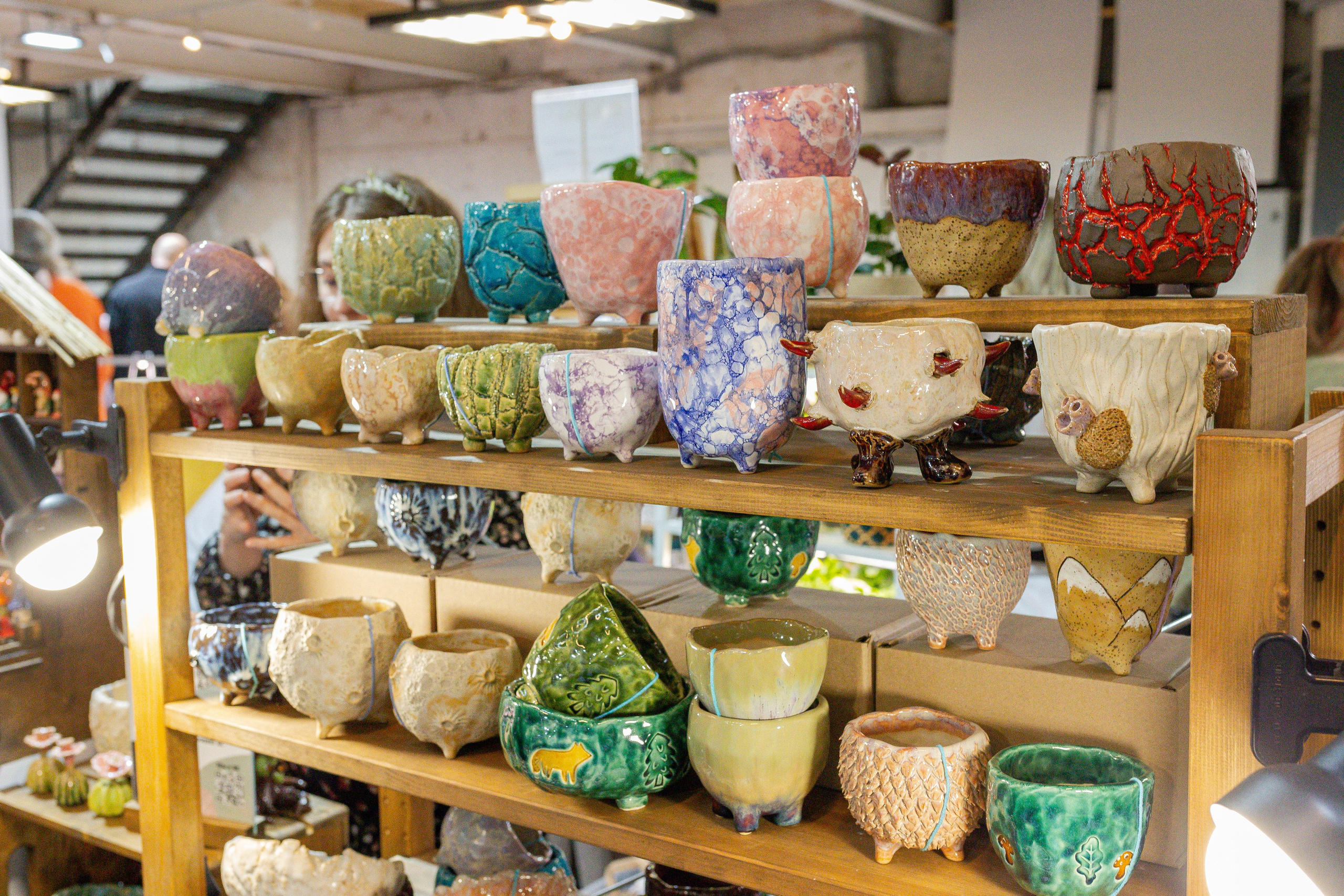 Кактус Фест. Александра Куликова фотограф, Москва